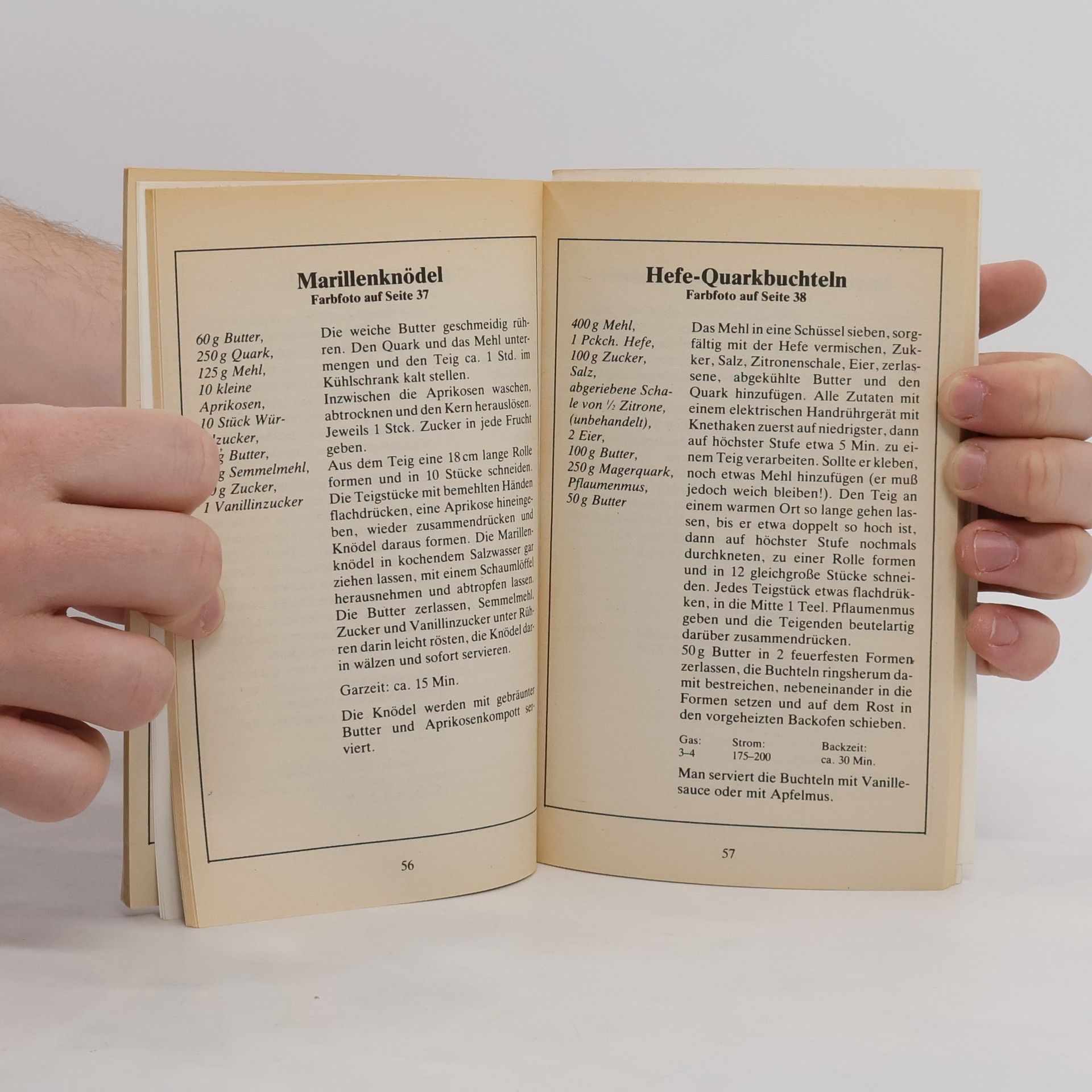 Autores varios Pizza und andere Mehlspeisen