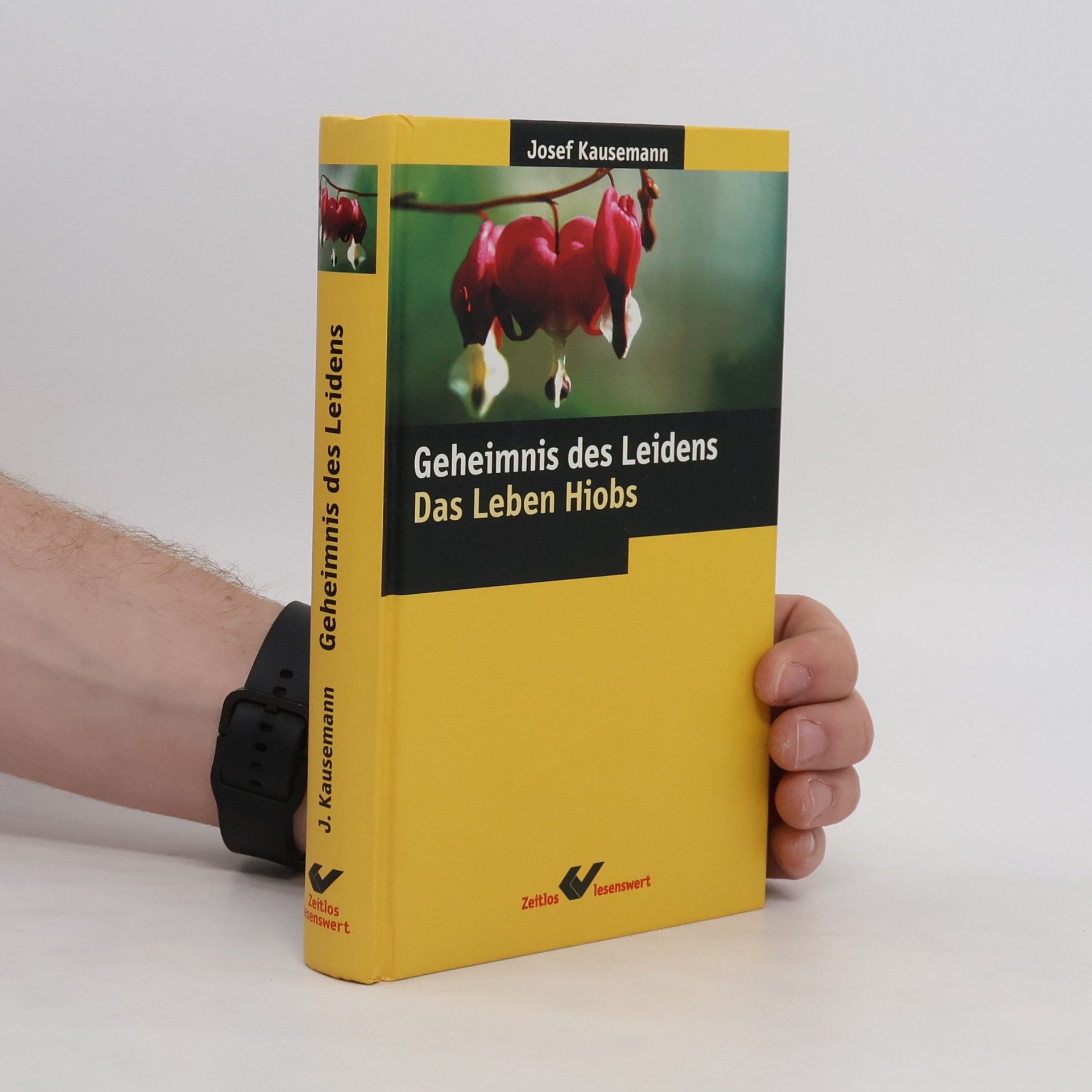 Josef Kausemann Geheimnis des Leidens
