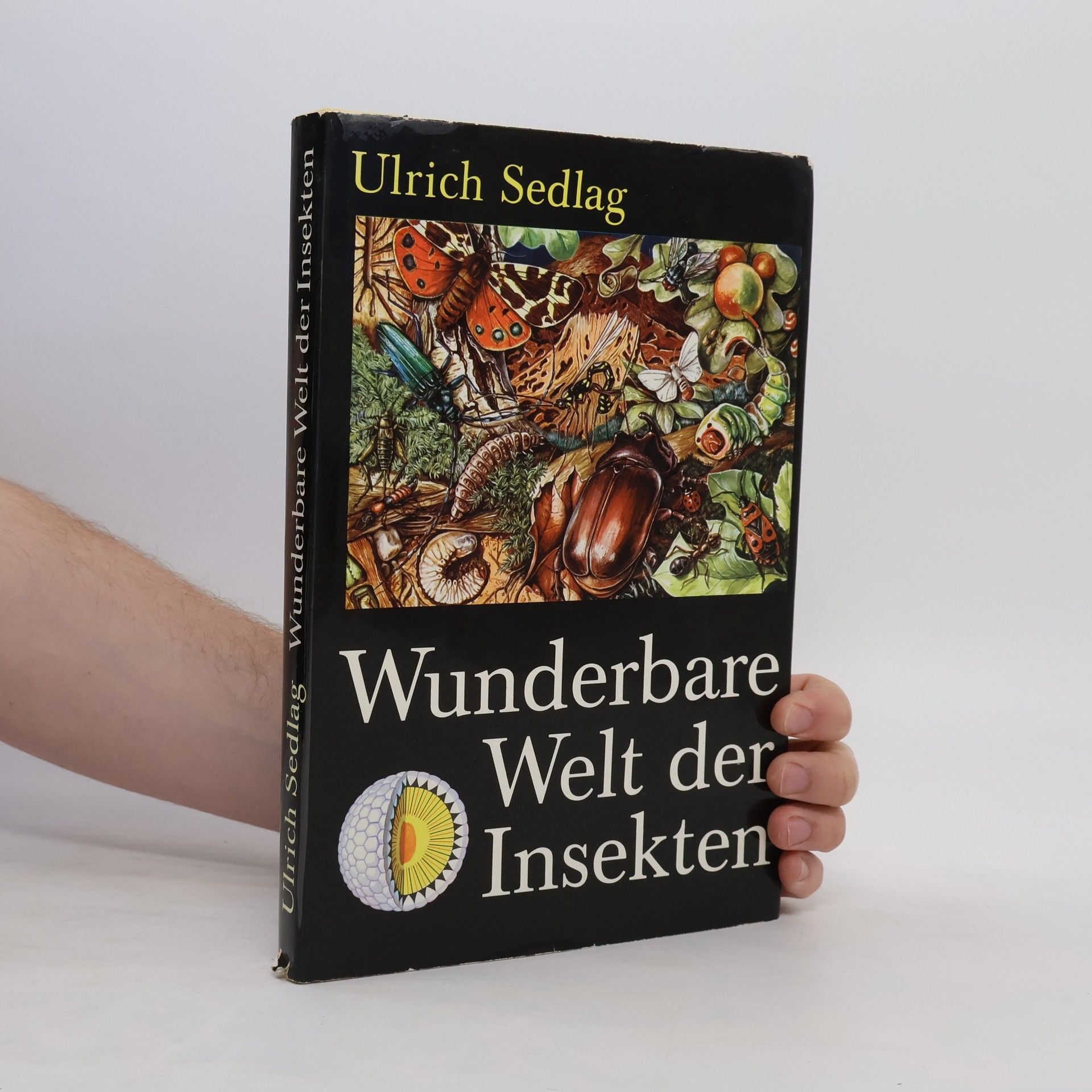 Ulrich Sedlag Wunderbare Welt der Insekten