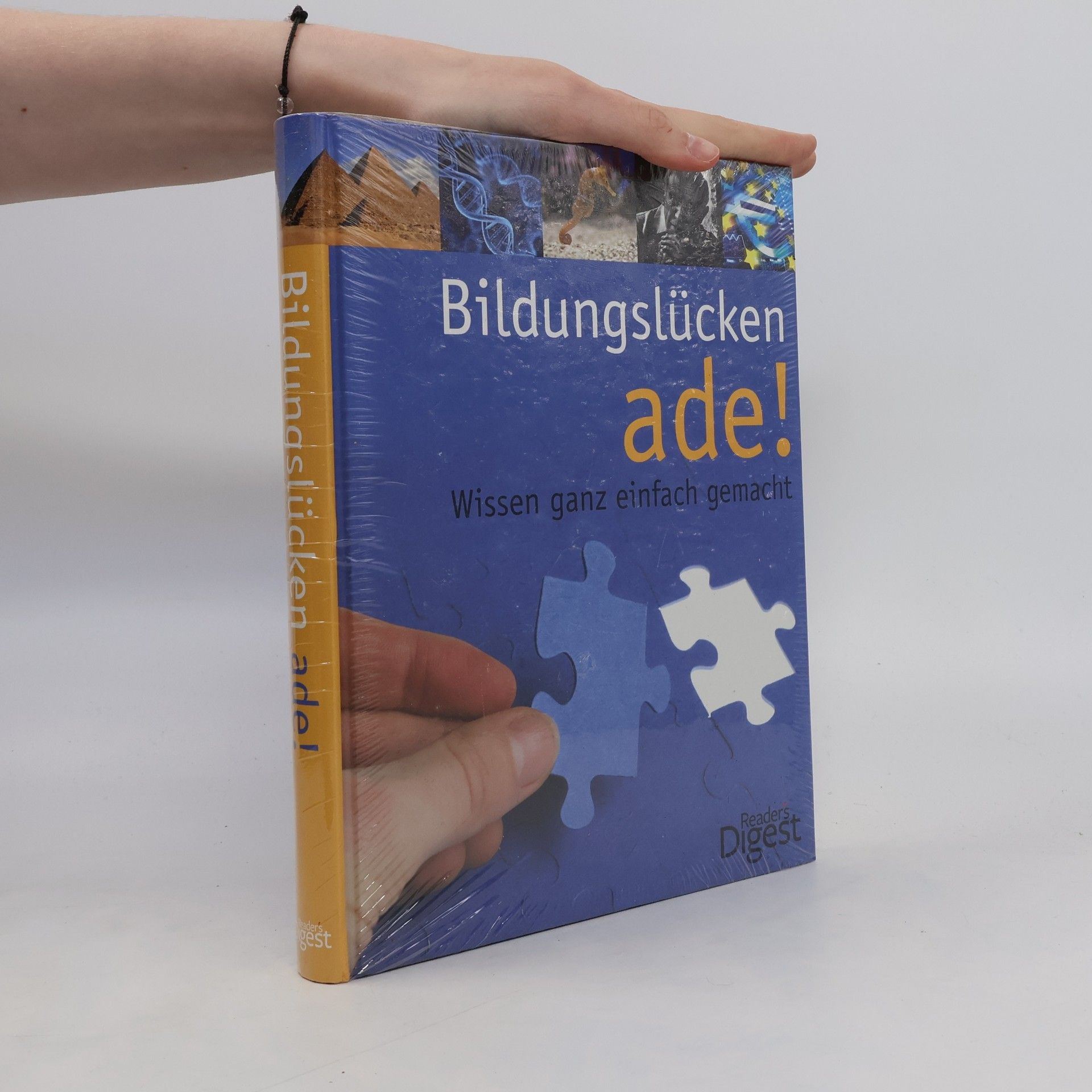 Autorenkollektiv Bildungslücken ade!