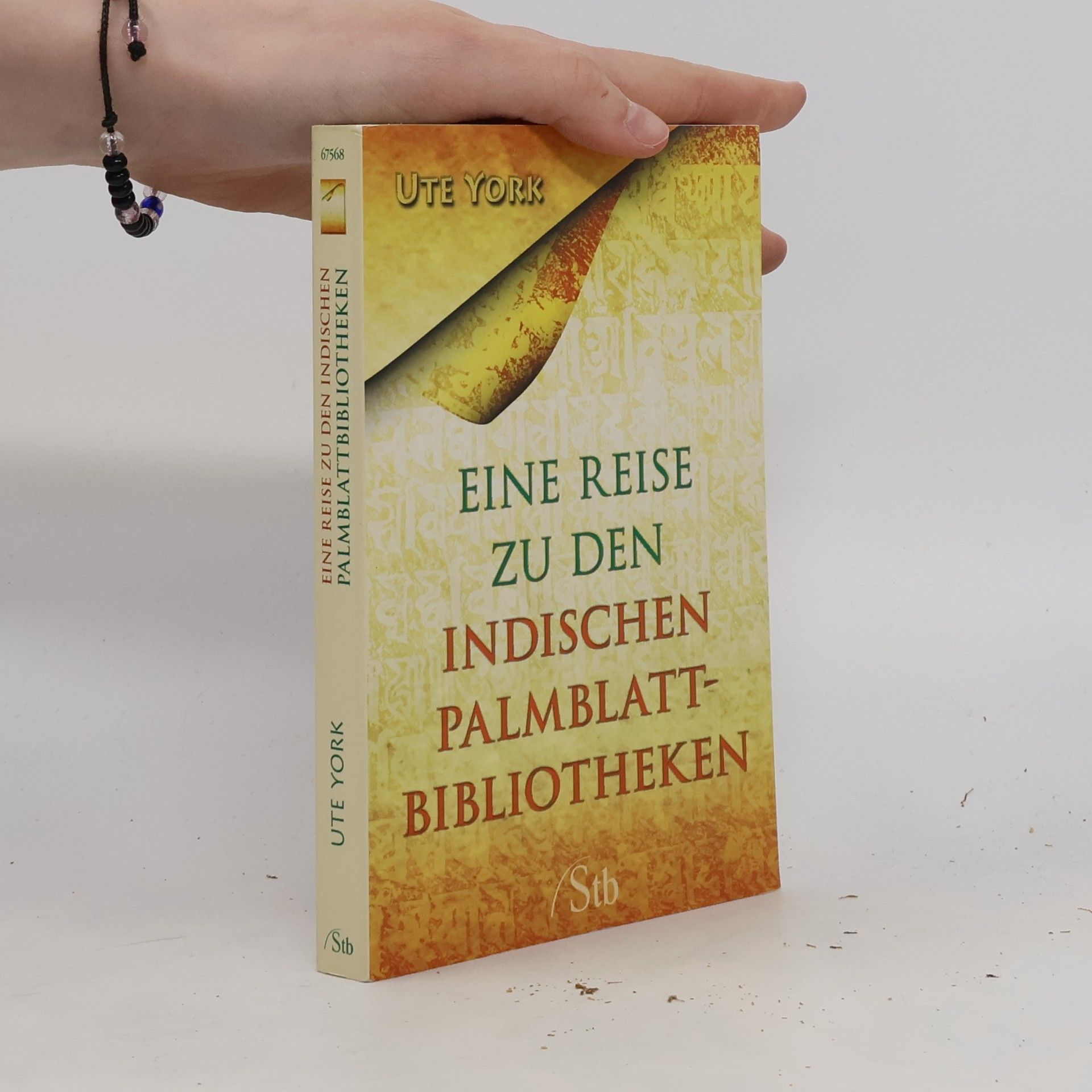 Ute York Eine Reise zu den indischen Palmblattbibliotheken