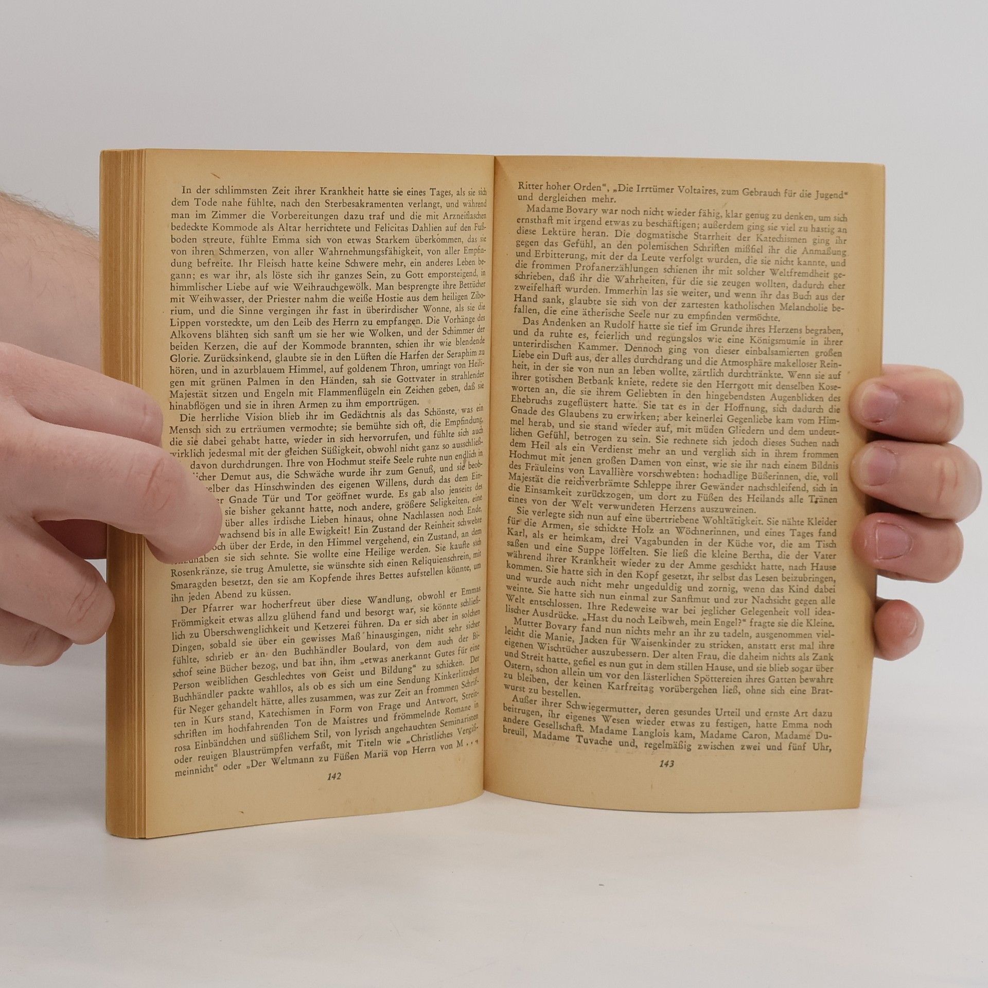 Gustave Flaubert Madame Bovary