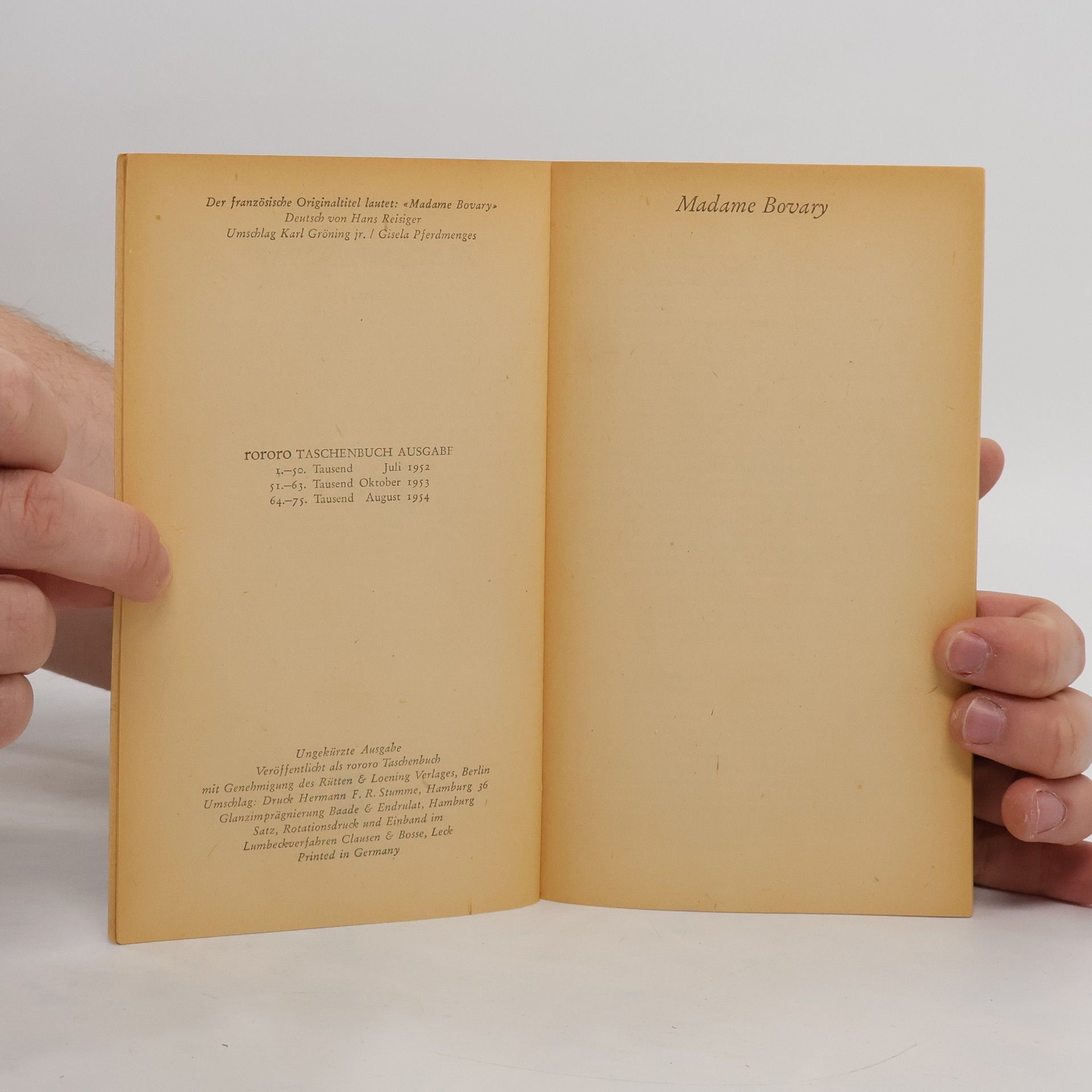 Gustave Flaubert Madame Bovary