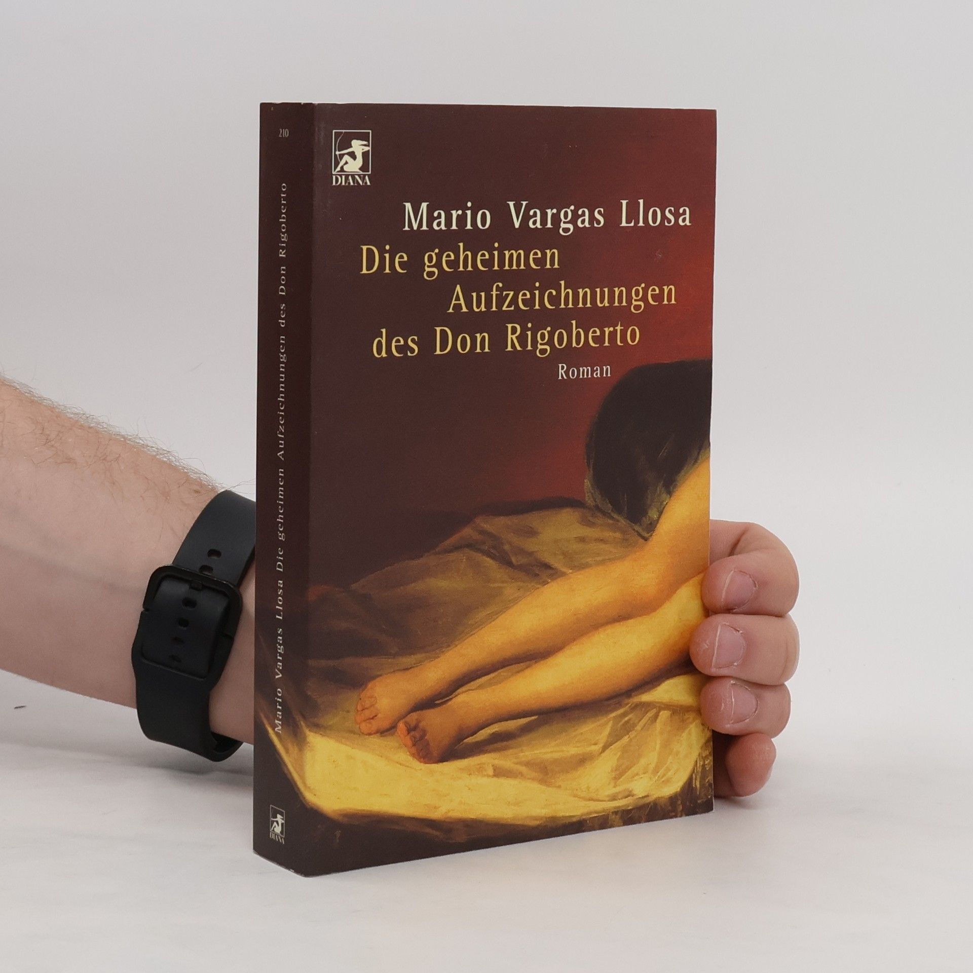Mario Vargas Llosa Die geheimen Aufzeichnungen des Don Rigoberto