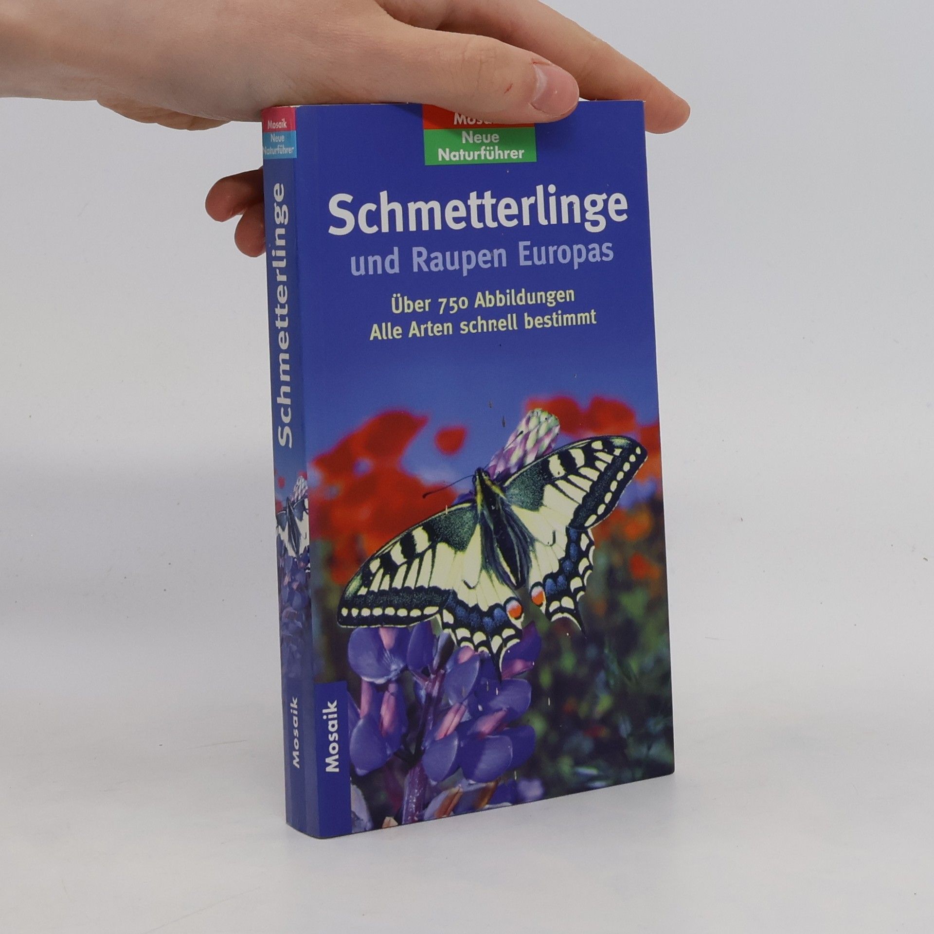 John Still Schmetterlinge und Raupen Europas