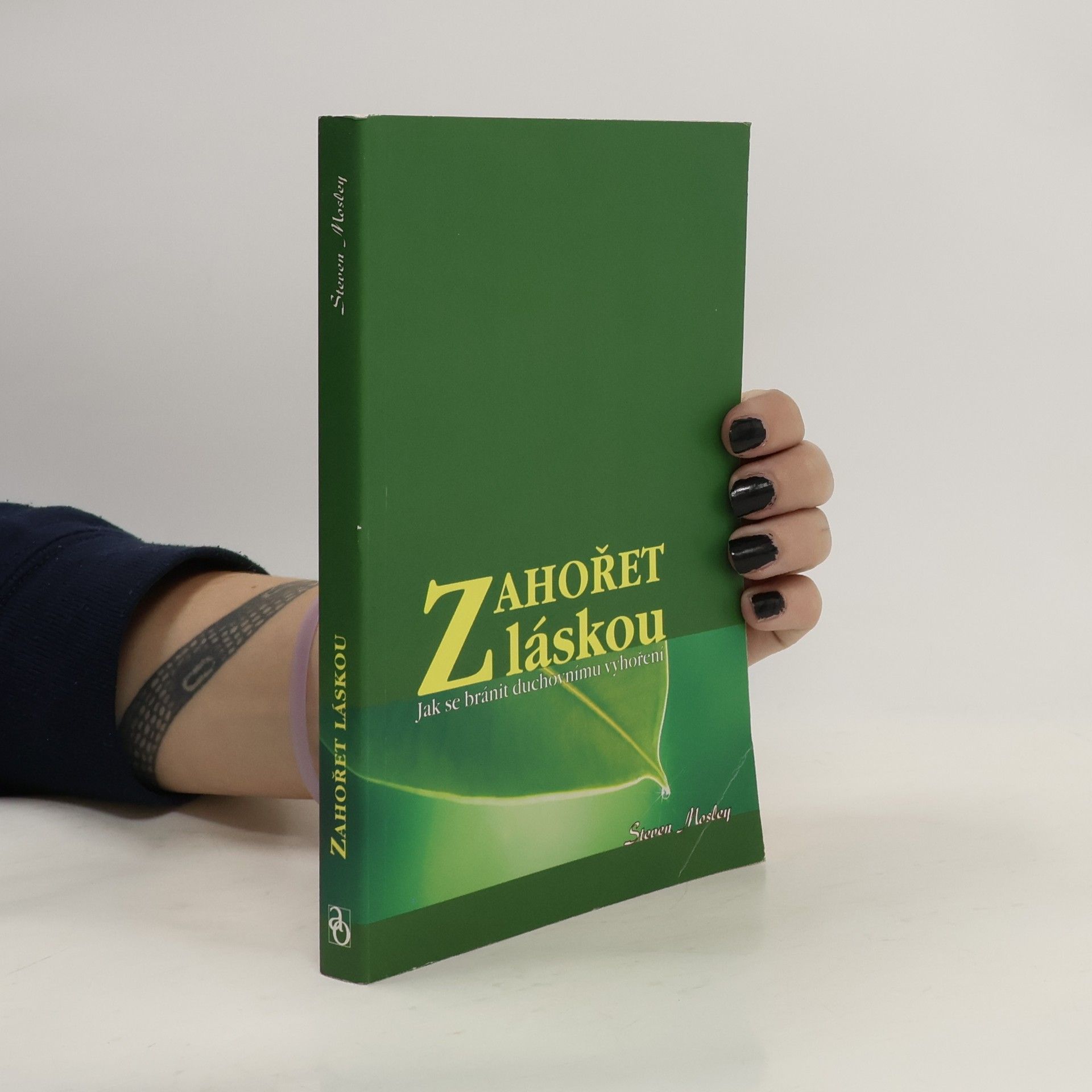 Steven Mosley Zahořet láskou : jak se bránit duchovnímu vyhoření