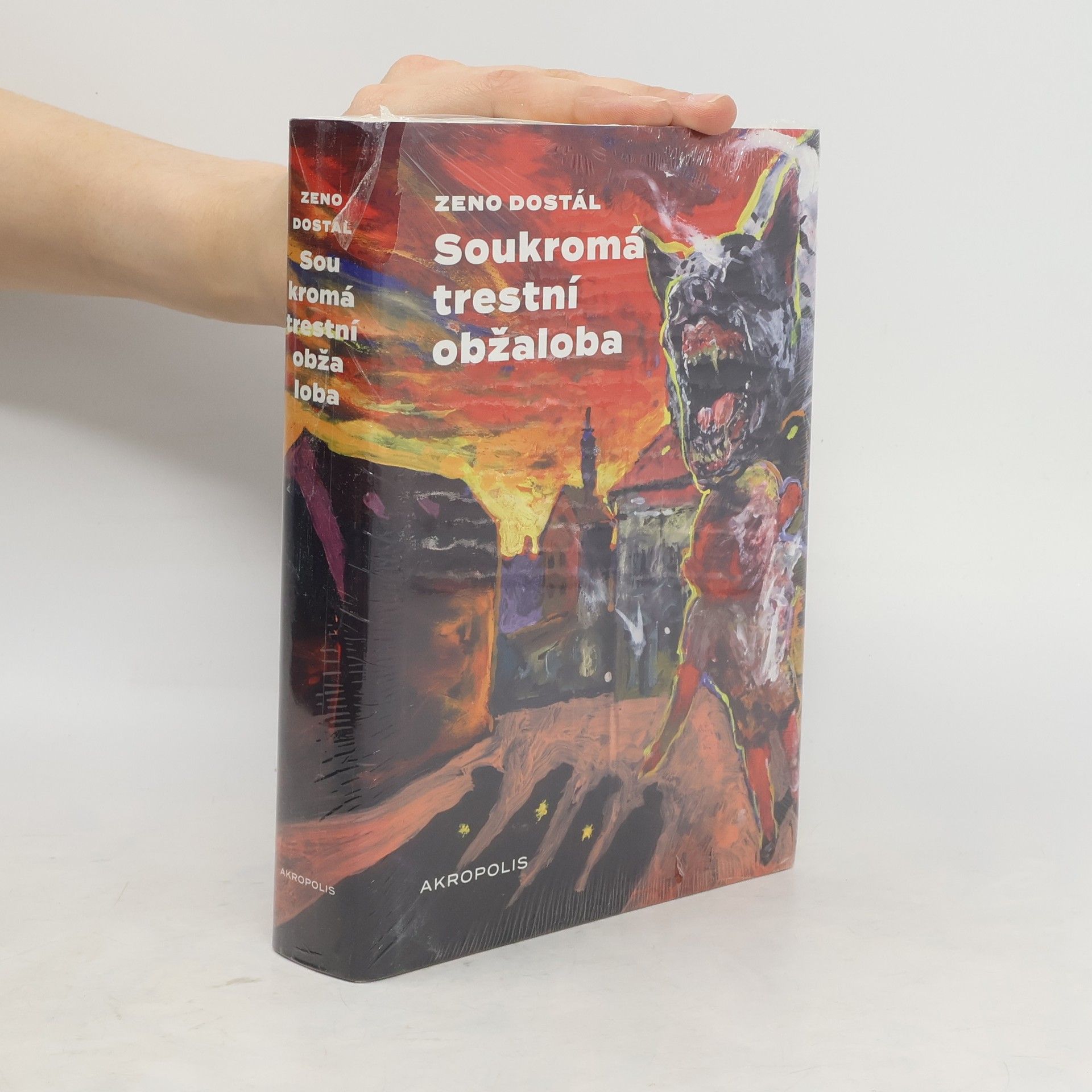 Boris Jirků Soukromá trestní obžaloba