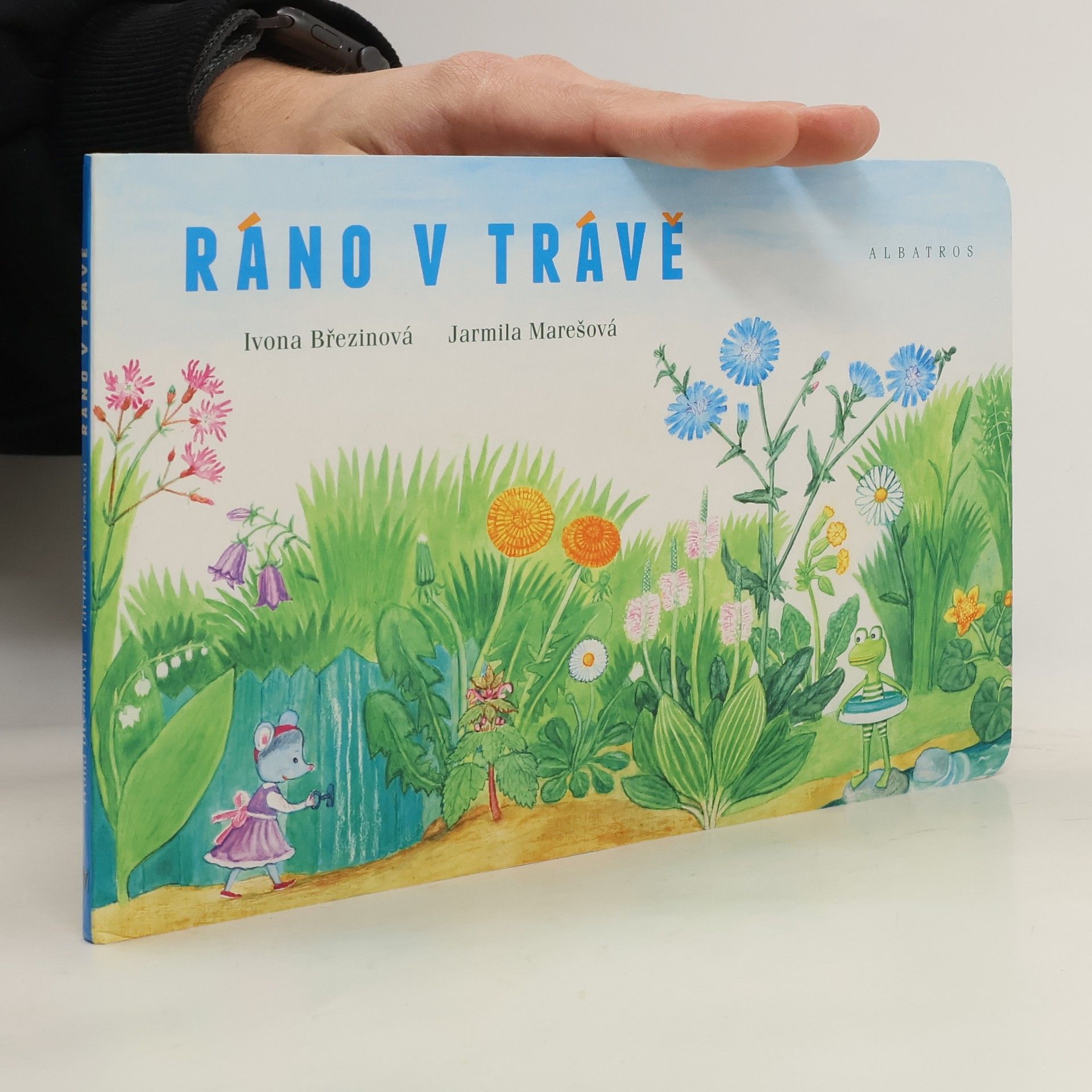 Ivona Březinová Ráno v trávě