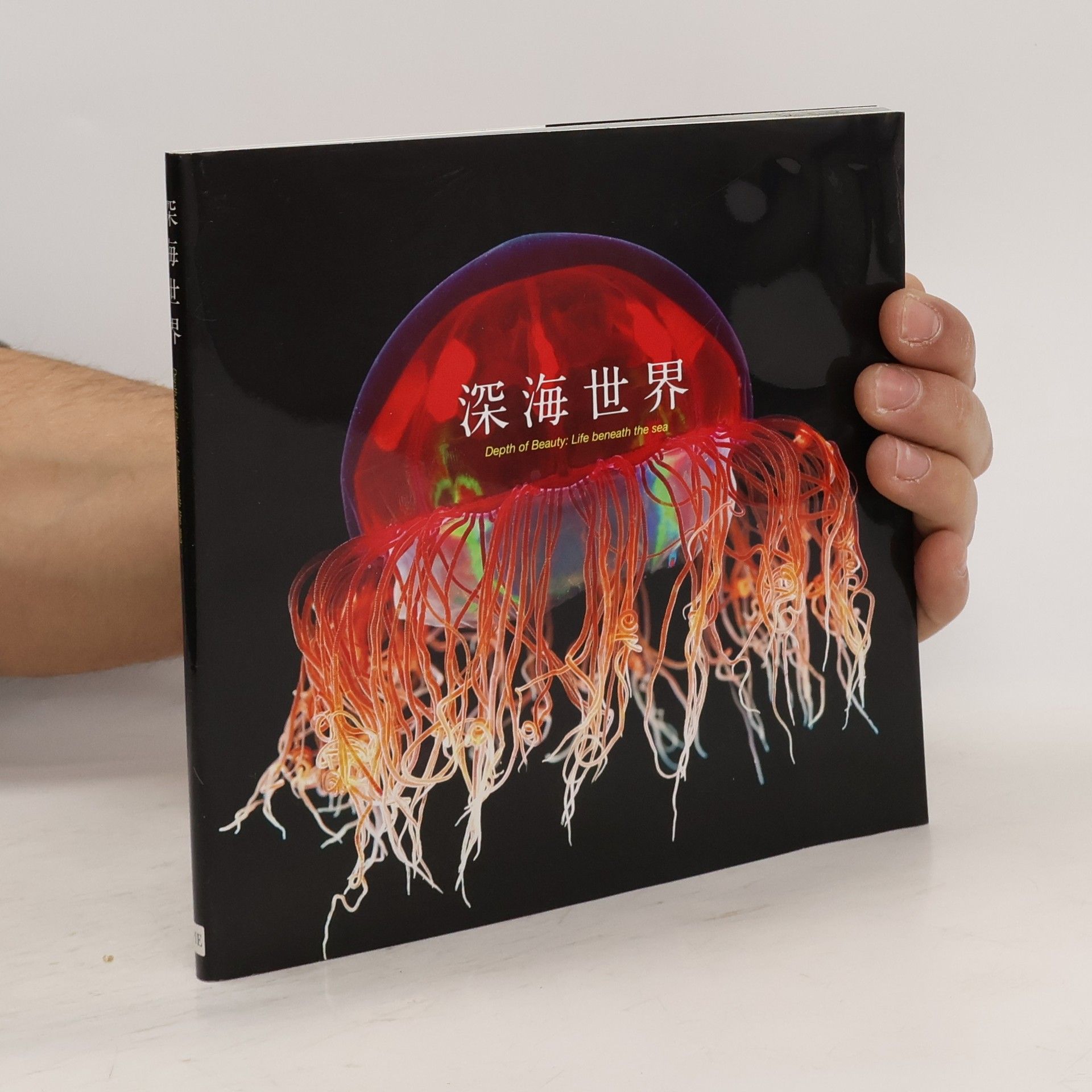 kolektiv 深海世界. Depth of Beauty: Life beneath the sea