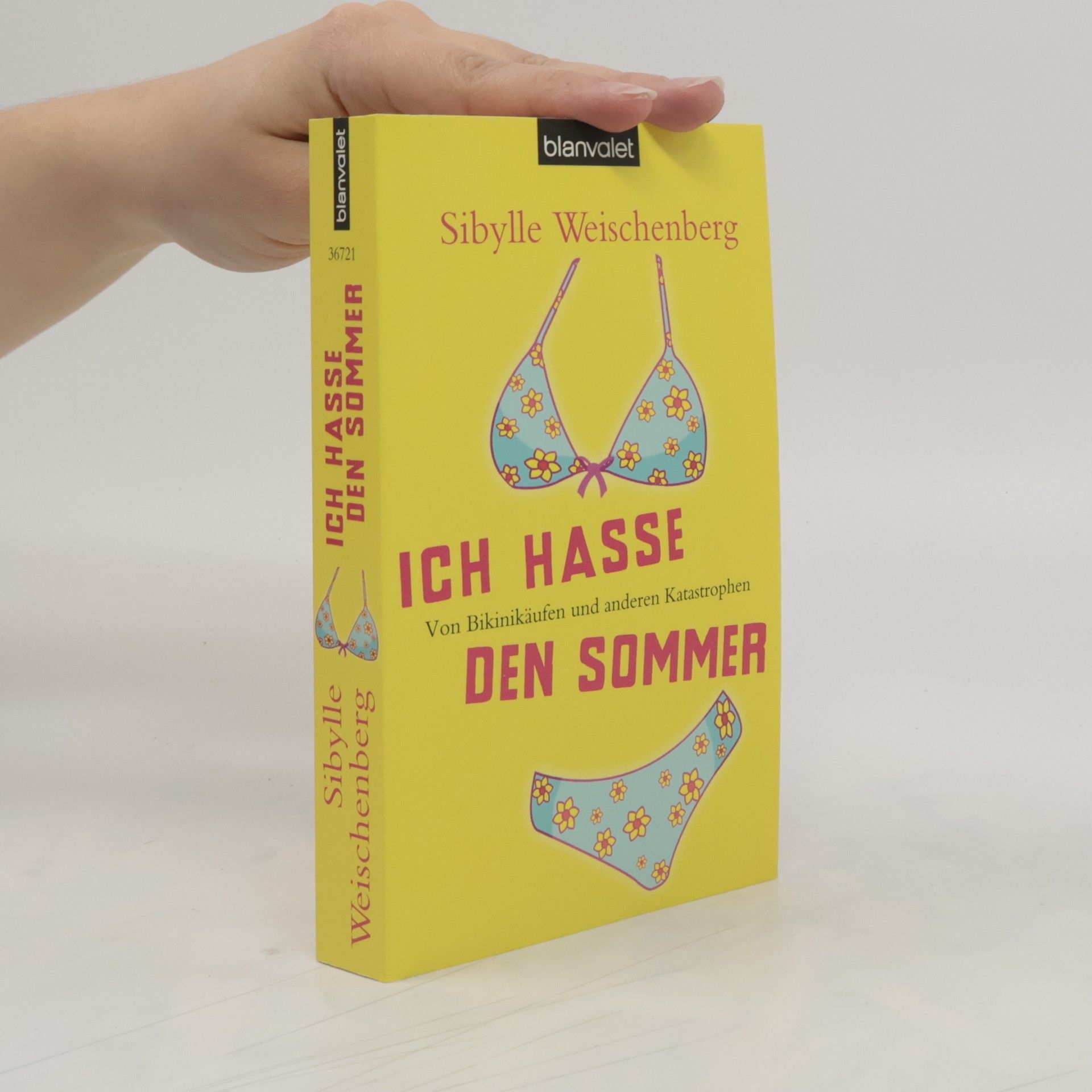 Sibylle Weischenberg Ich hasse den Sommer