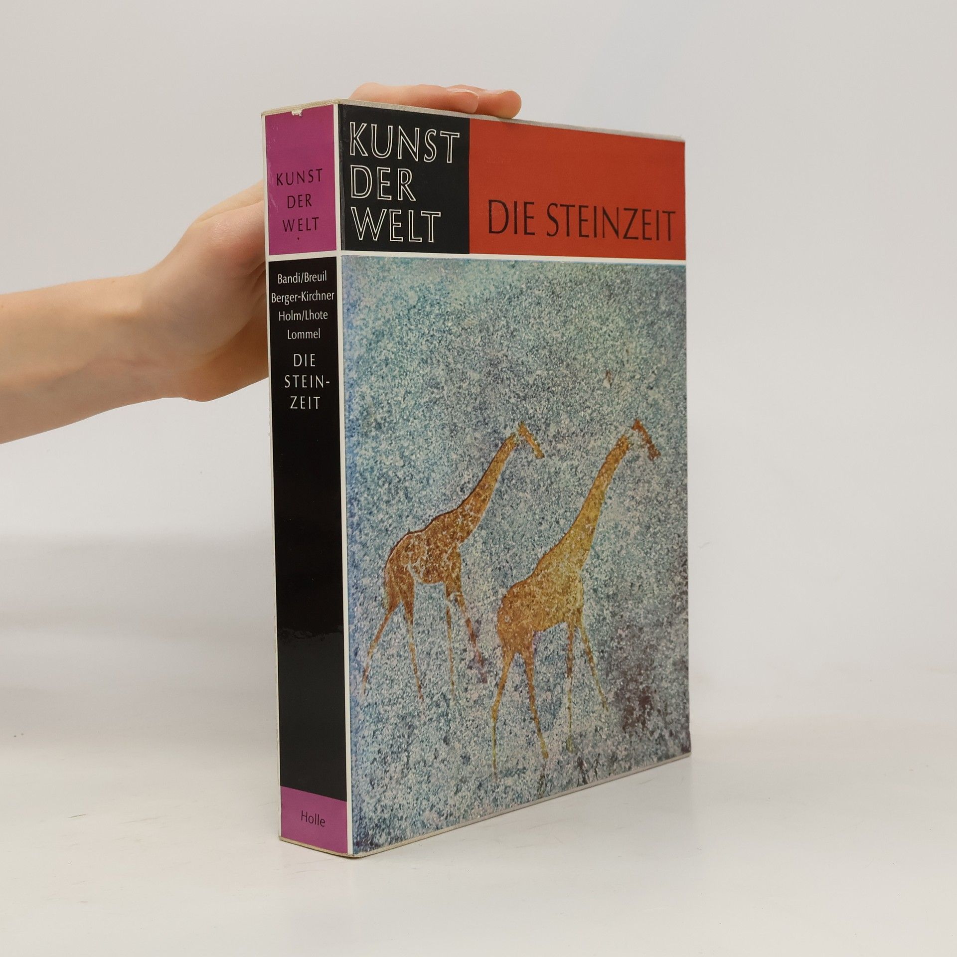 Autorenkollektiv Die Steinzeit