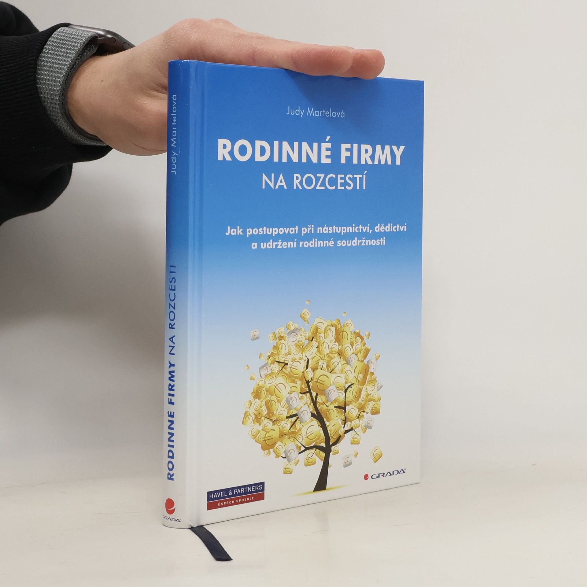 Judy Martel Rodinné firmy na rozcestí