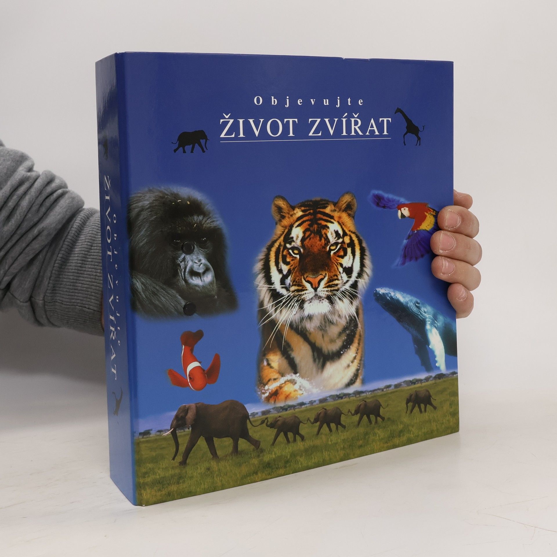 Auteurscollectief Objevujte život zvířat. Skupina 6-10