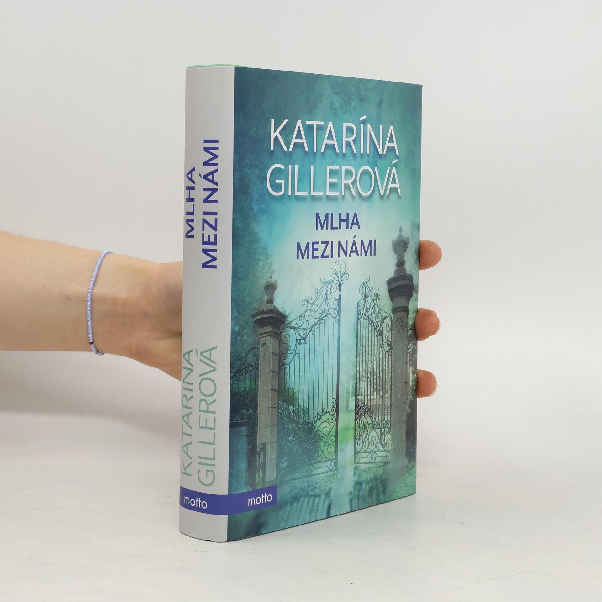 Katarína Gillerová Mlha mezi námi
