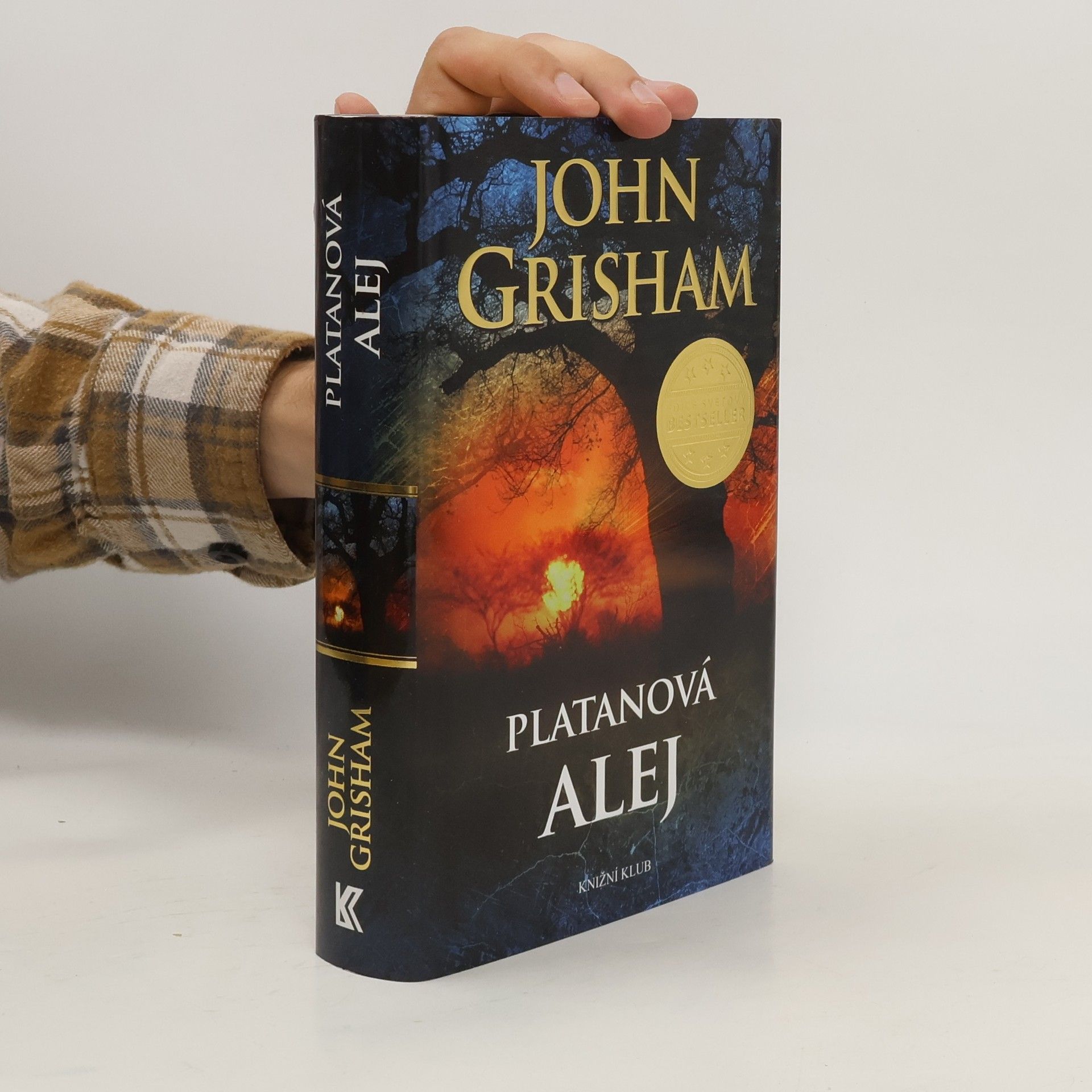 John Grisham Platanová alej
