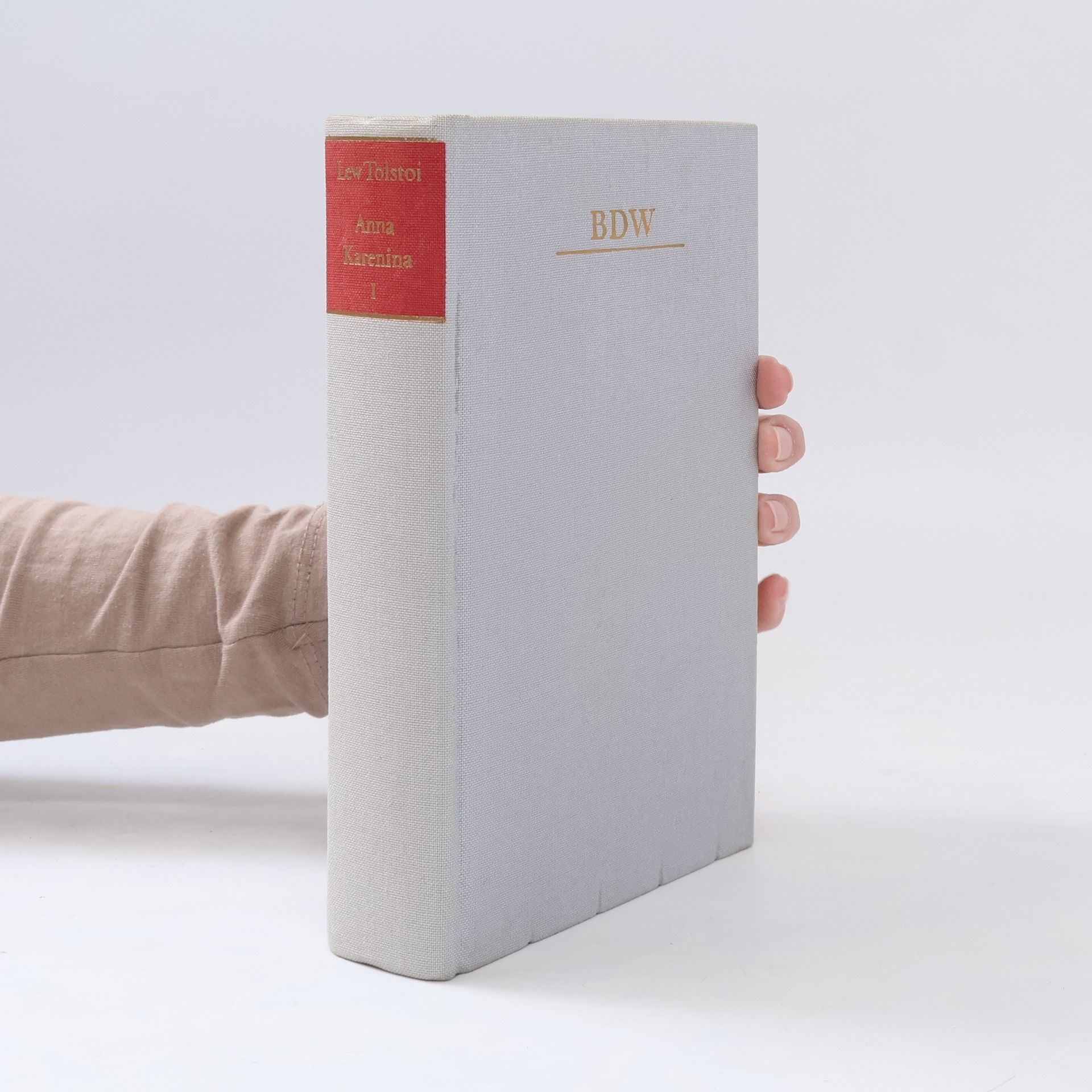 Lew Nikolajewitsch Tolstoi Anna Karenina 1