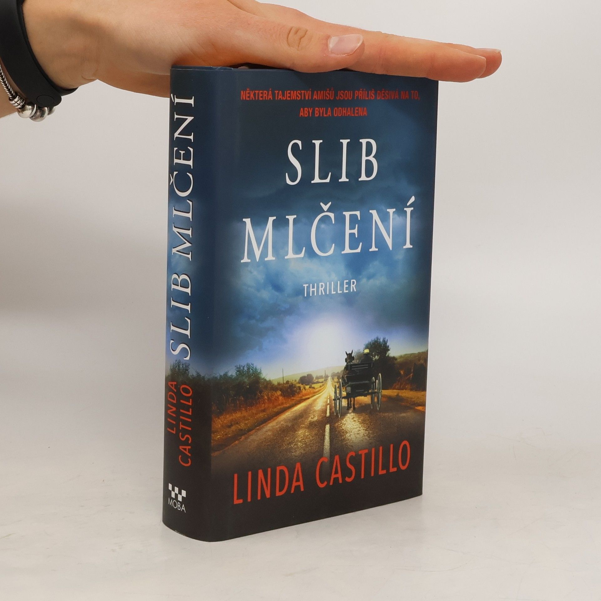 Linda Castillo Slib mlčení
