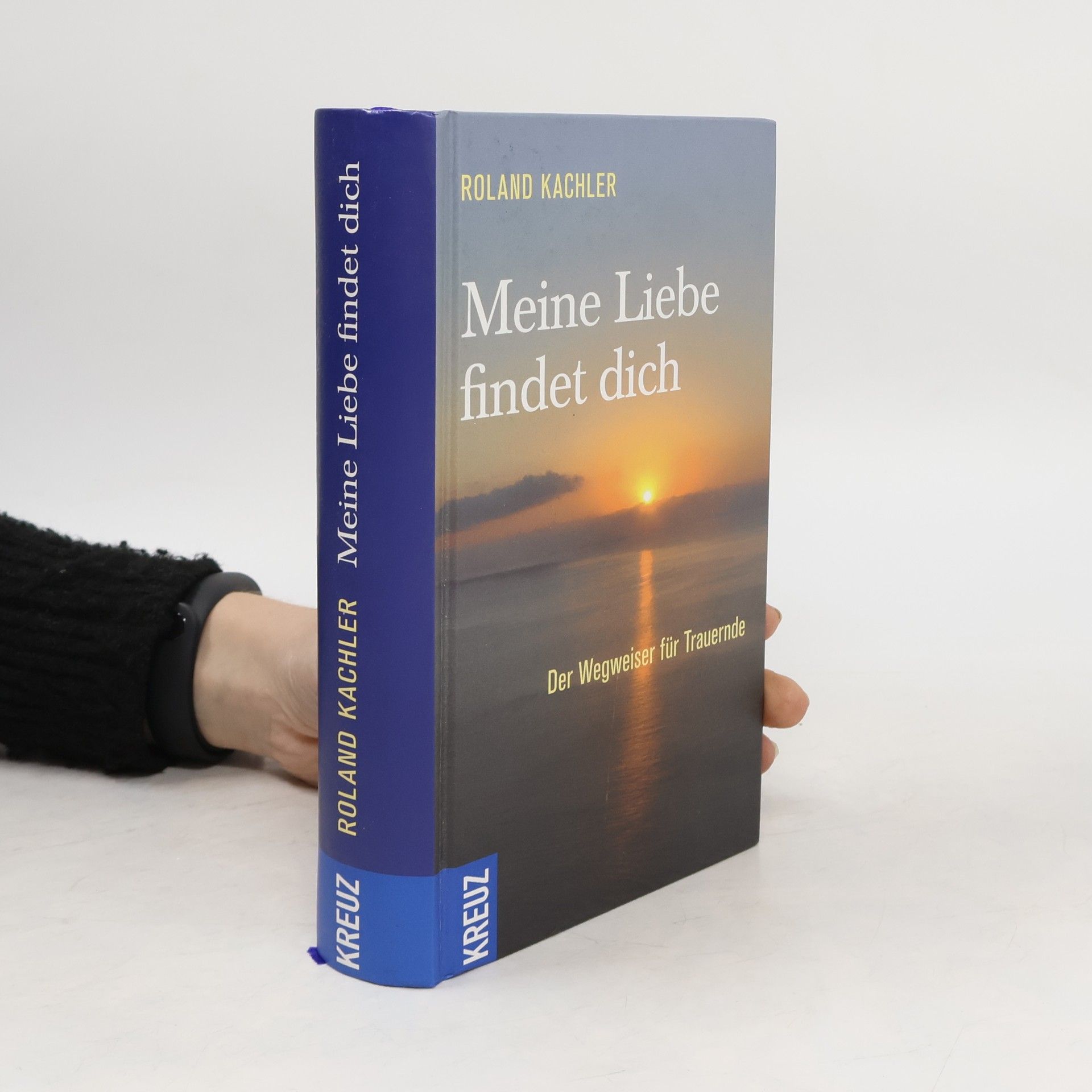 Roland Kachler Meine Liebe findet dich