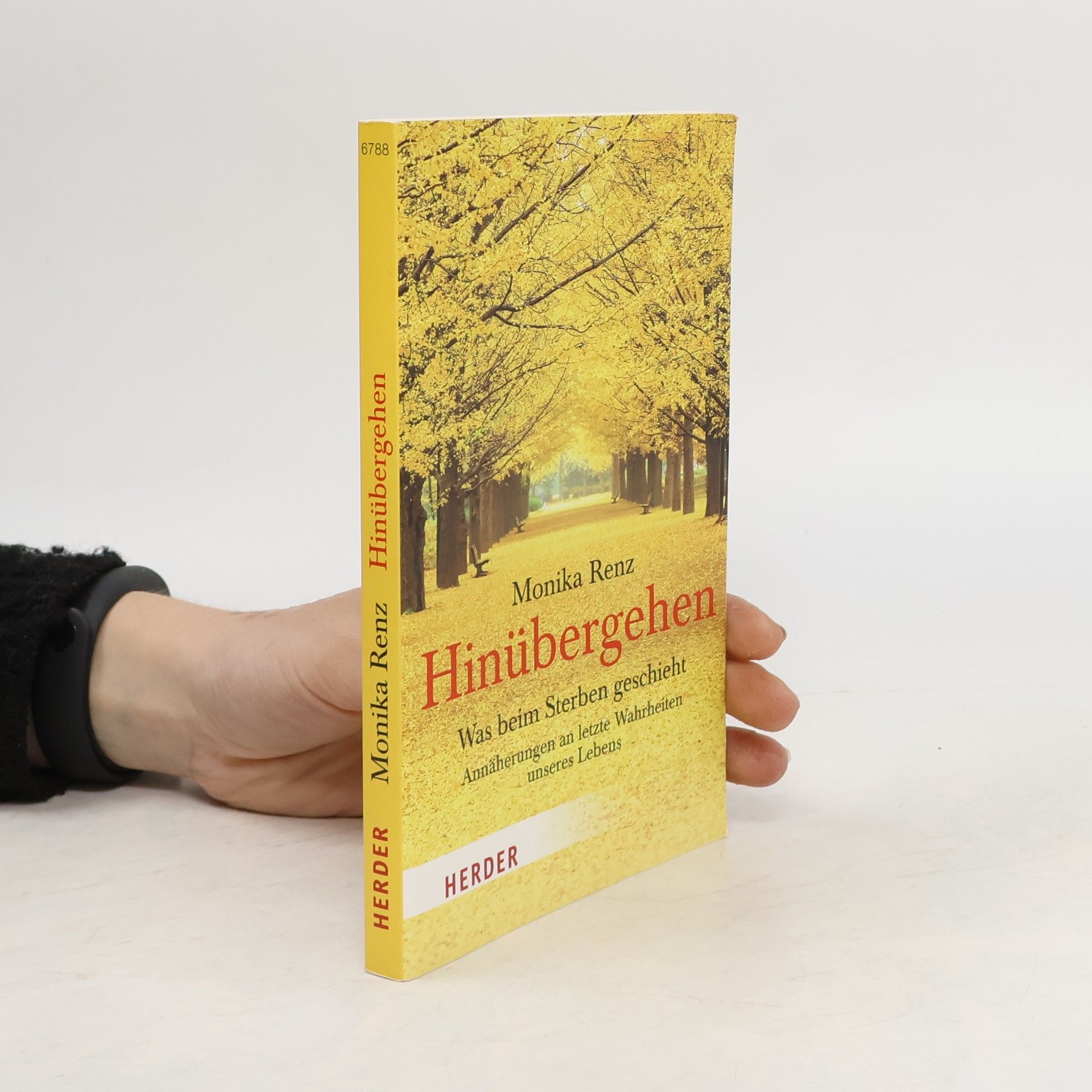 Monika Renz Hinübergehen