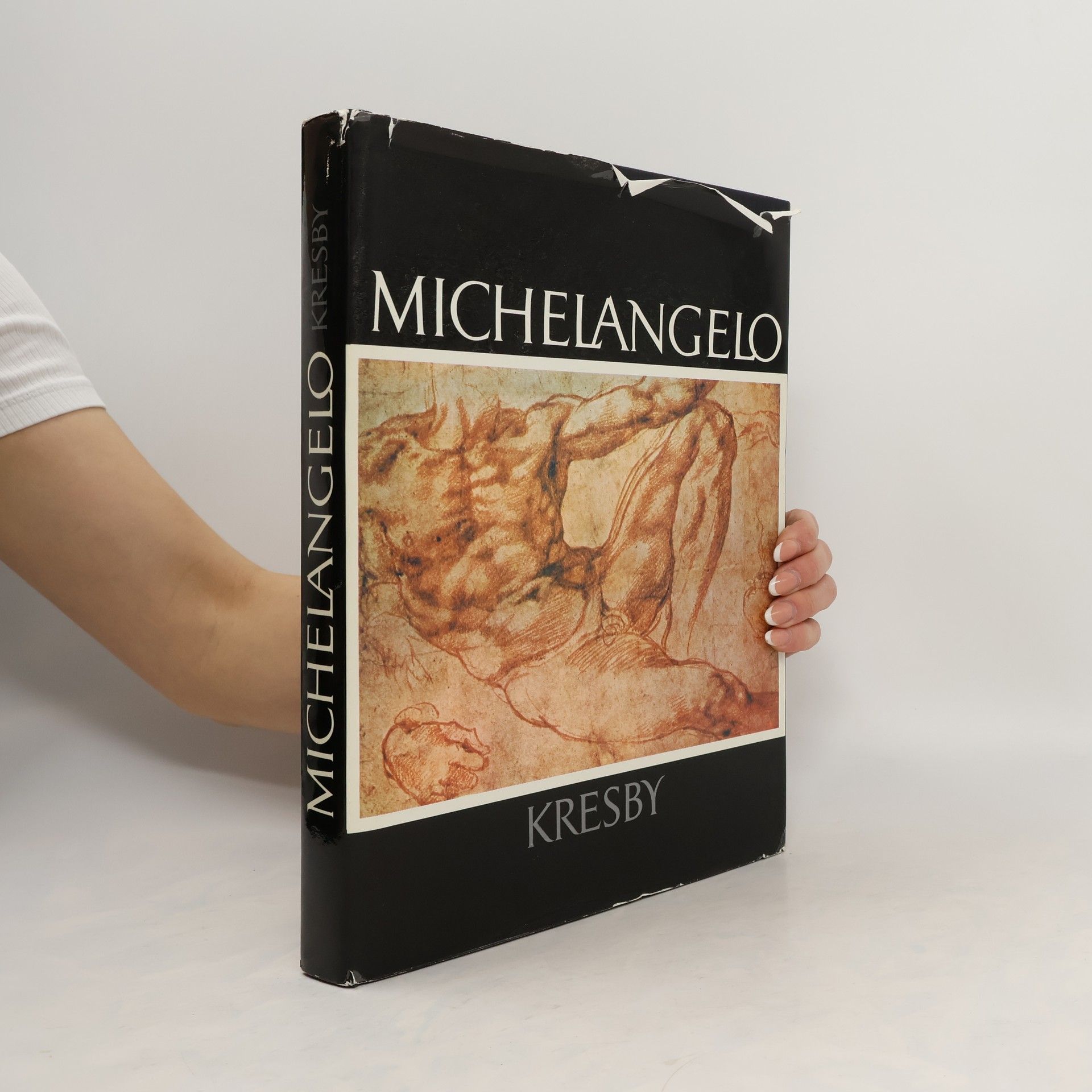 Pavel Preiss Michelangelo. Kresby