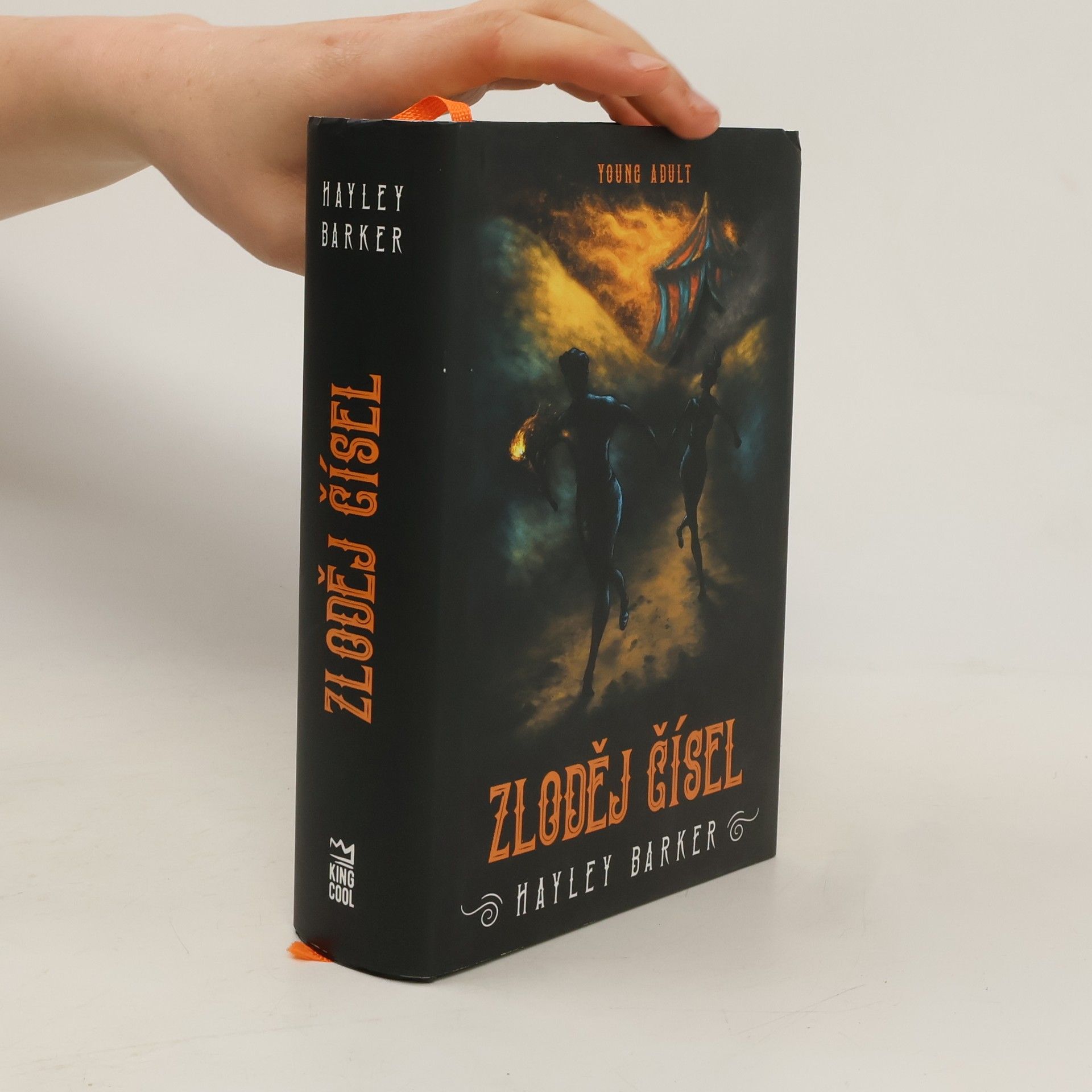 Hayley Barker Zloděj čísel