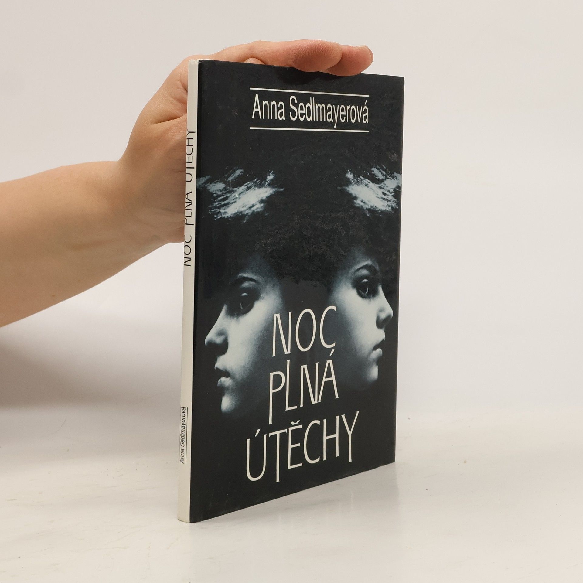 Anna Sedlmayerová Noc plná útěchy