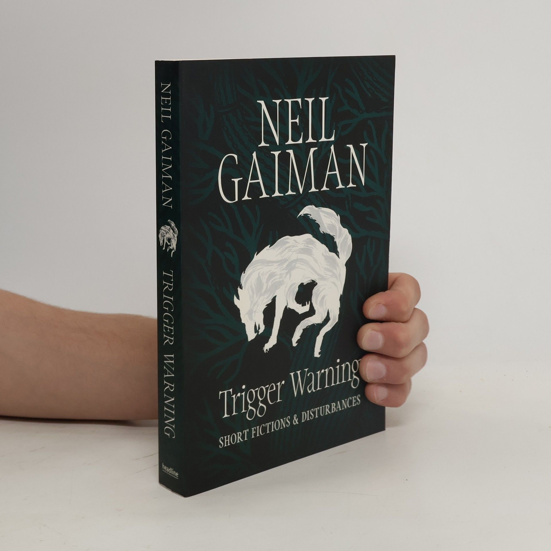 Neil Gaiman Trigger warning : short fictions and disturbances