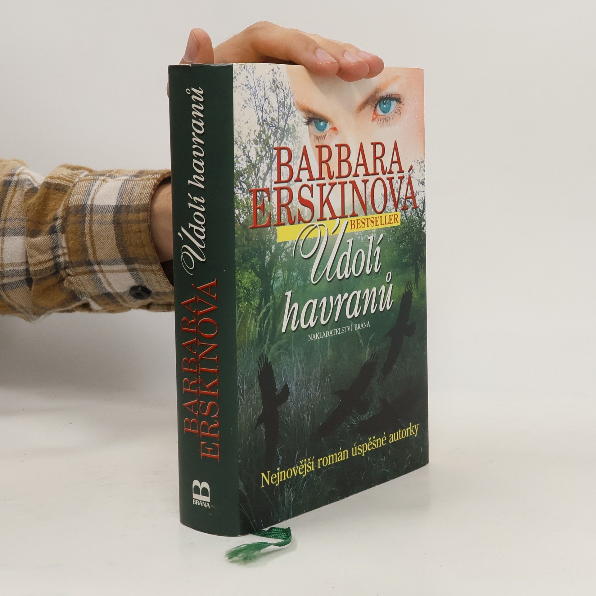 Barbara Erskine Údolí havranů