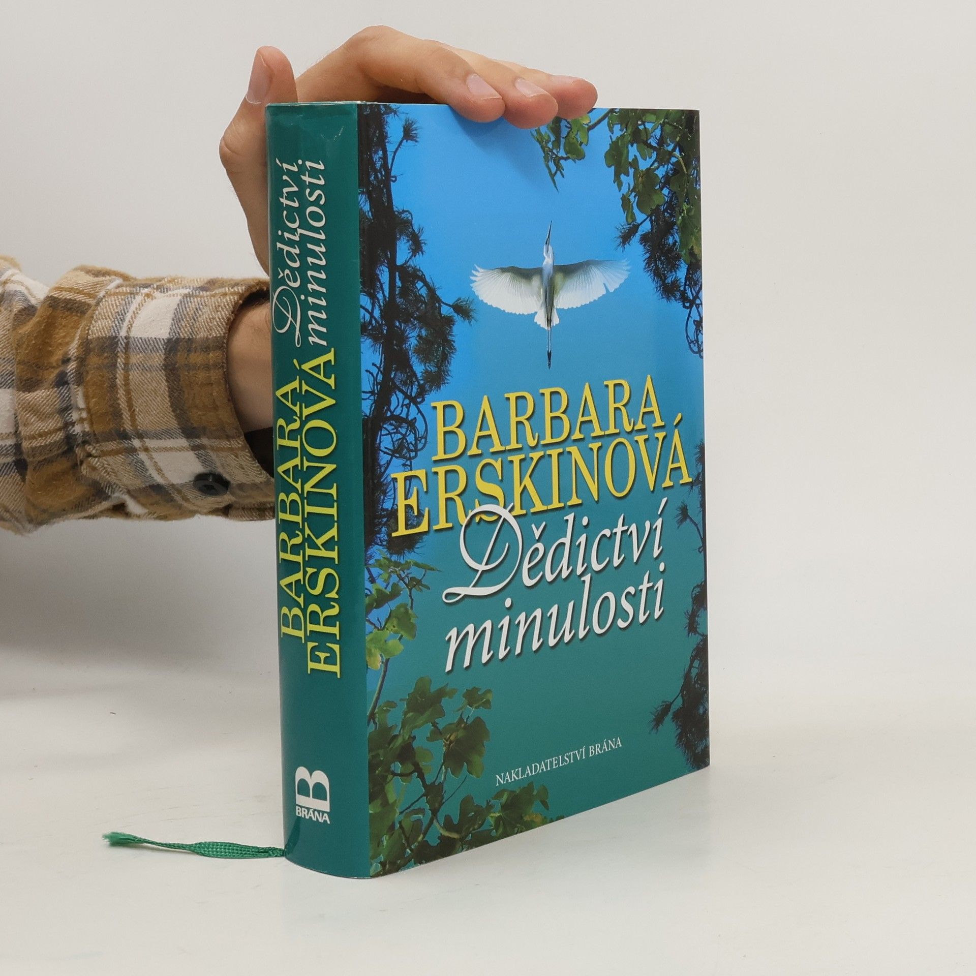 Barbara Erskine Dědictví minulosti