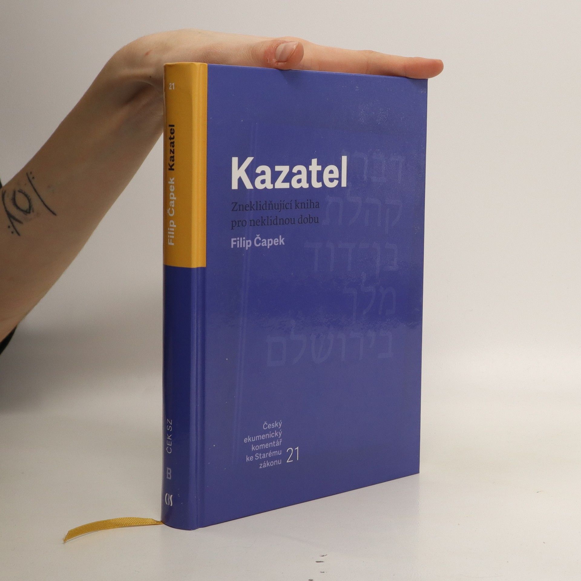 Filip Čapek Kazatel : Zneklidňující kniha pro neklidnou dobu