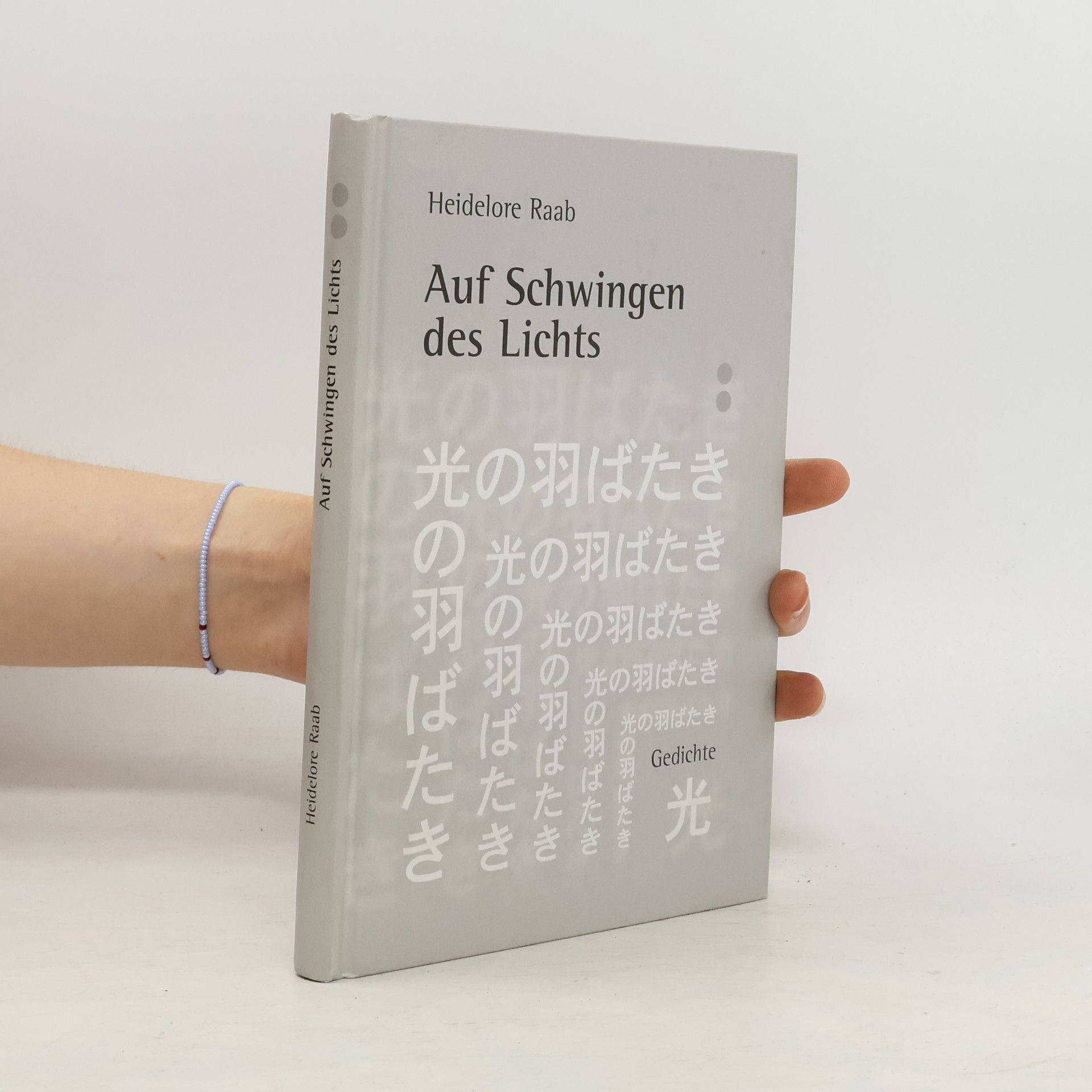 Heidelore Raab Auf Schwingen des Lichts
