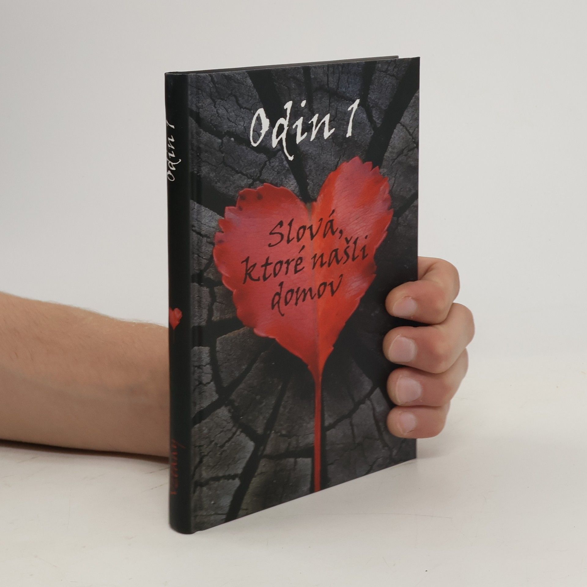 Kolektív autorov Slová, ktoré našli domov