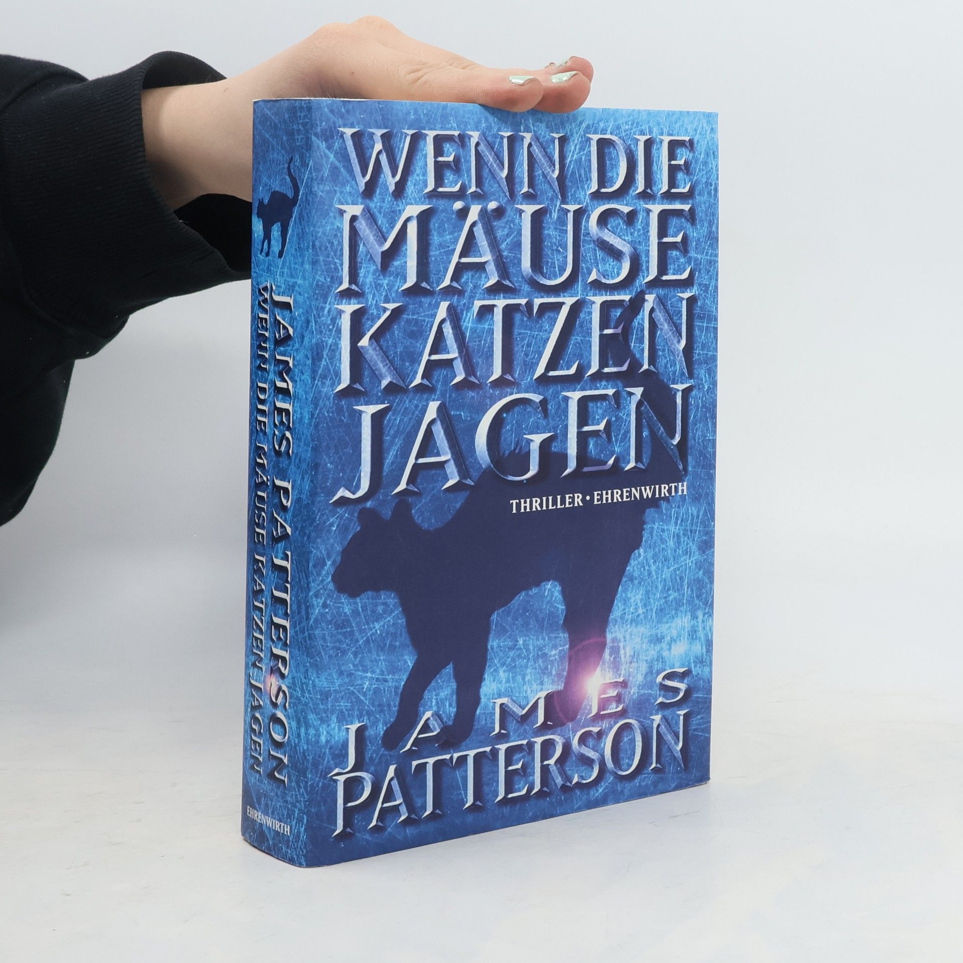 James Patterson Wenn die Mäuse Katzen jagen
