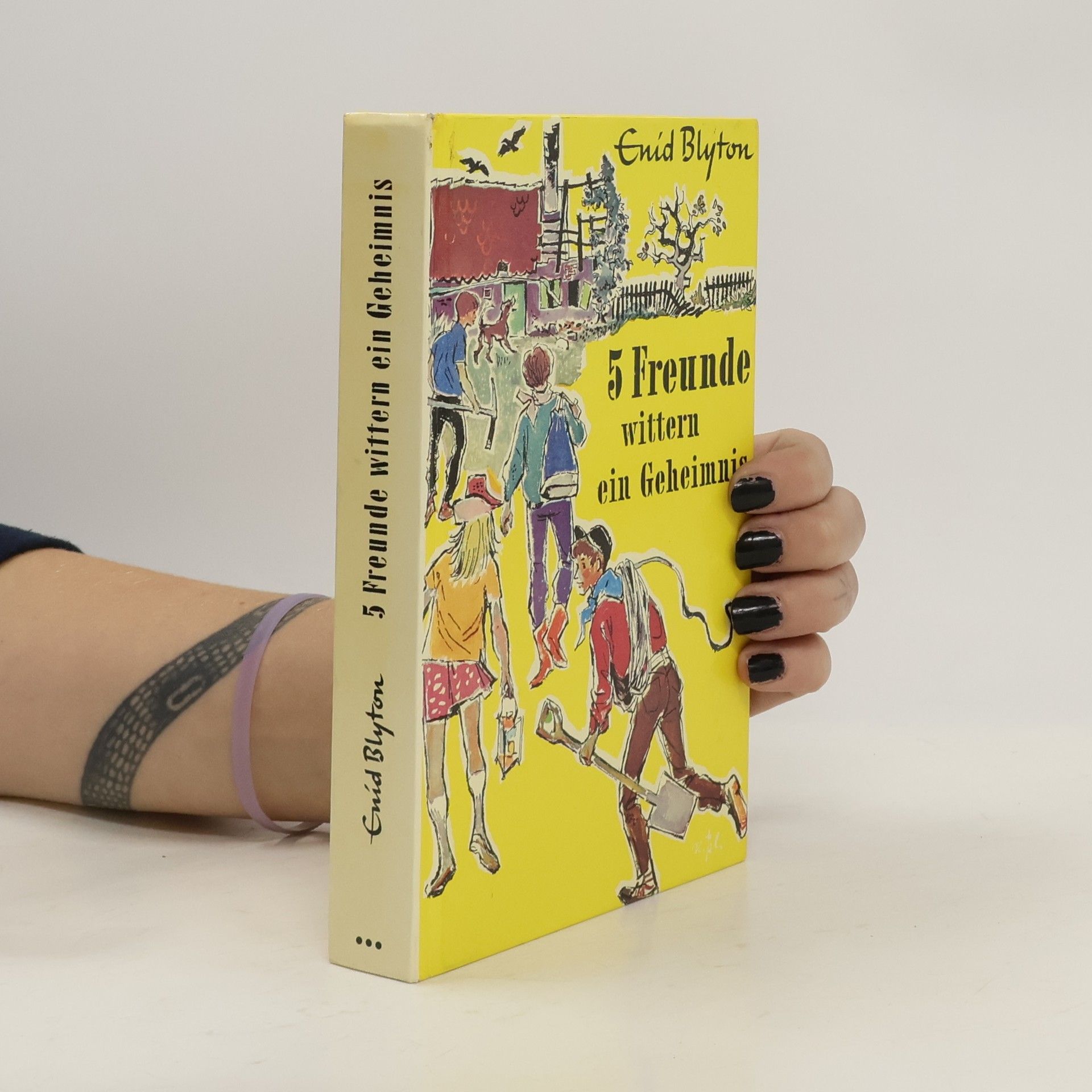 Enid Blyton 5 Freunde wittern ein Geheimnis