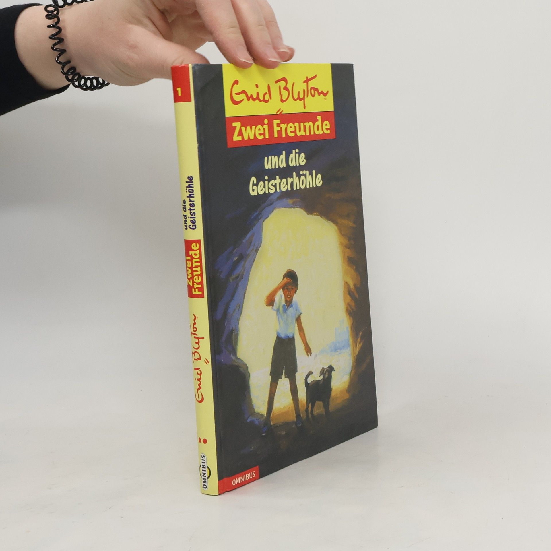 Enid Blyton Zwei Freunde und die Geisterhöhle