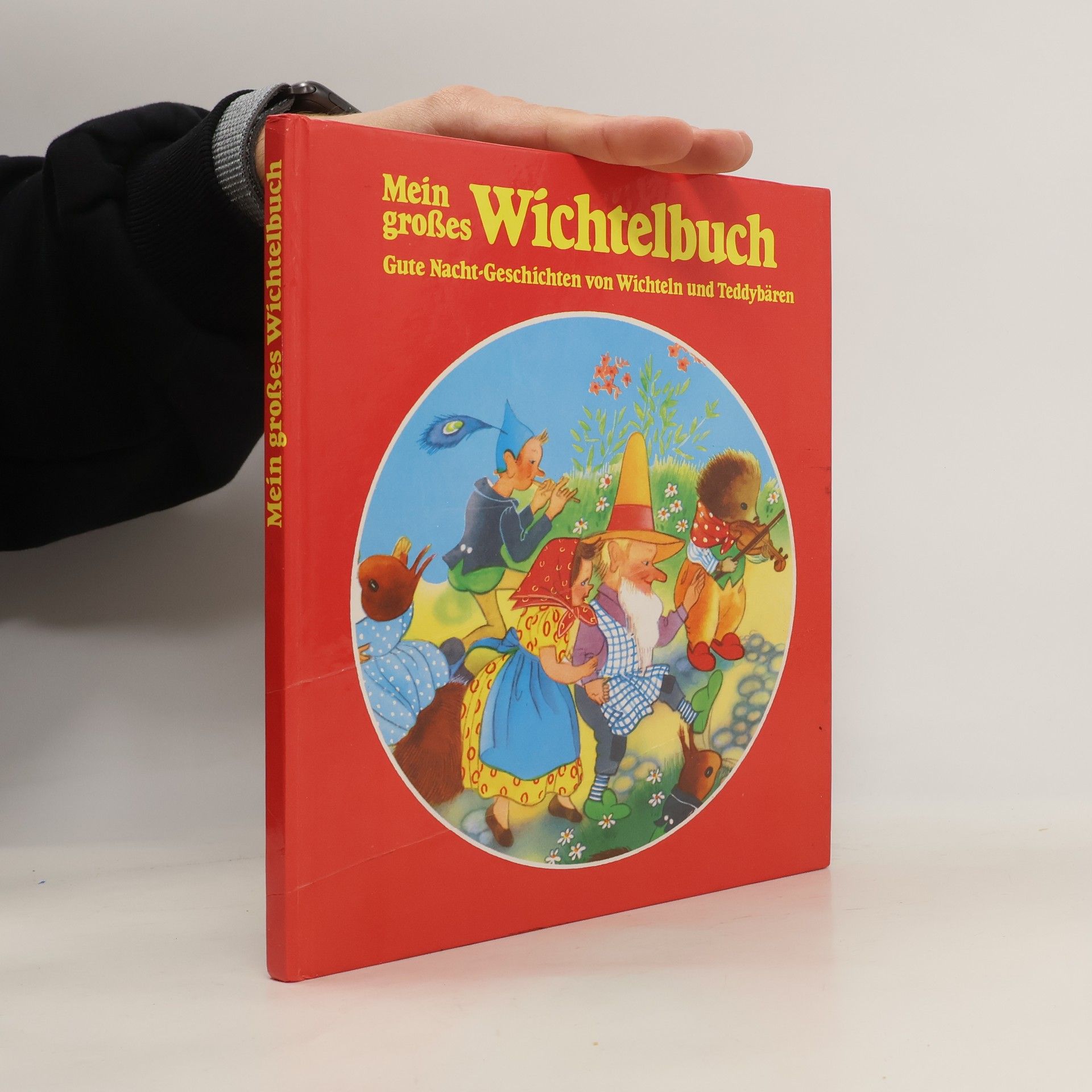 Katrin Behrend Mein großes Wichtelbuch