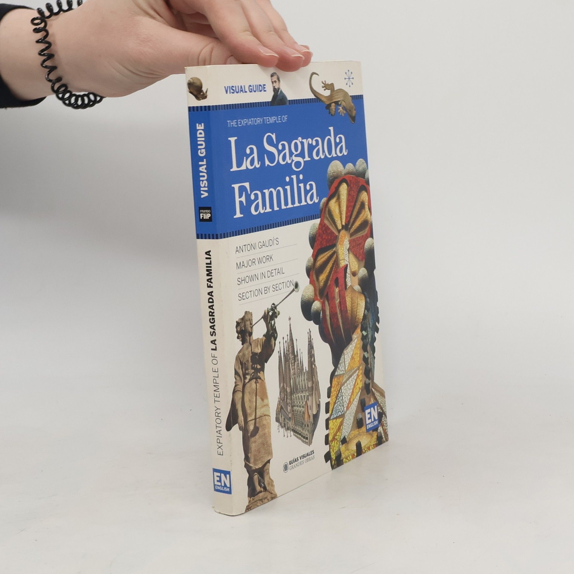 Carlos Giordano Visual Guide the Expiatory Temple of La Sagrada Familia