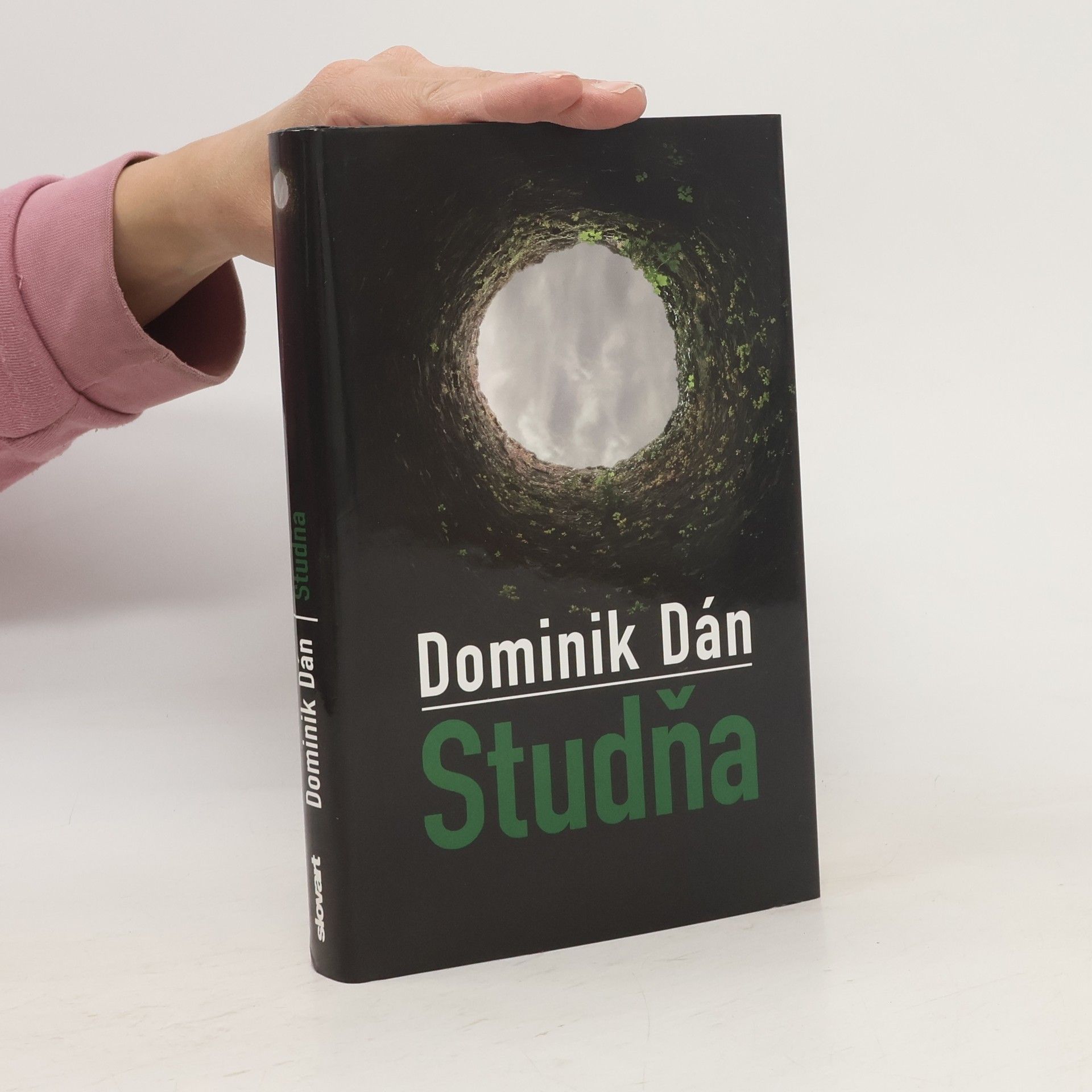 Dominik Dán Studňa