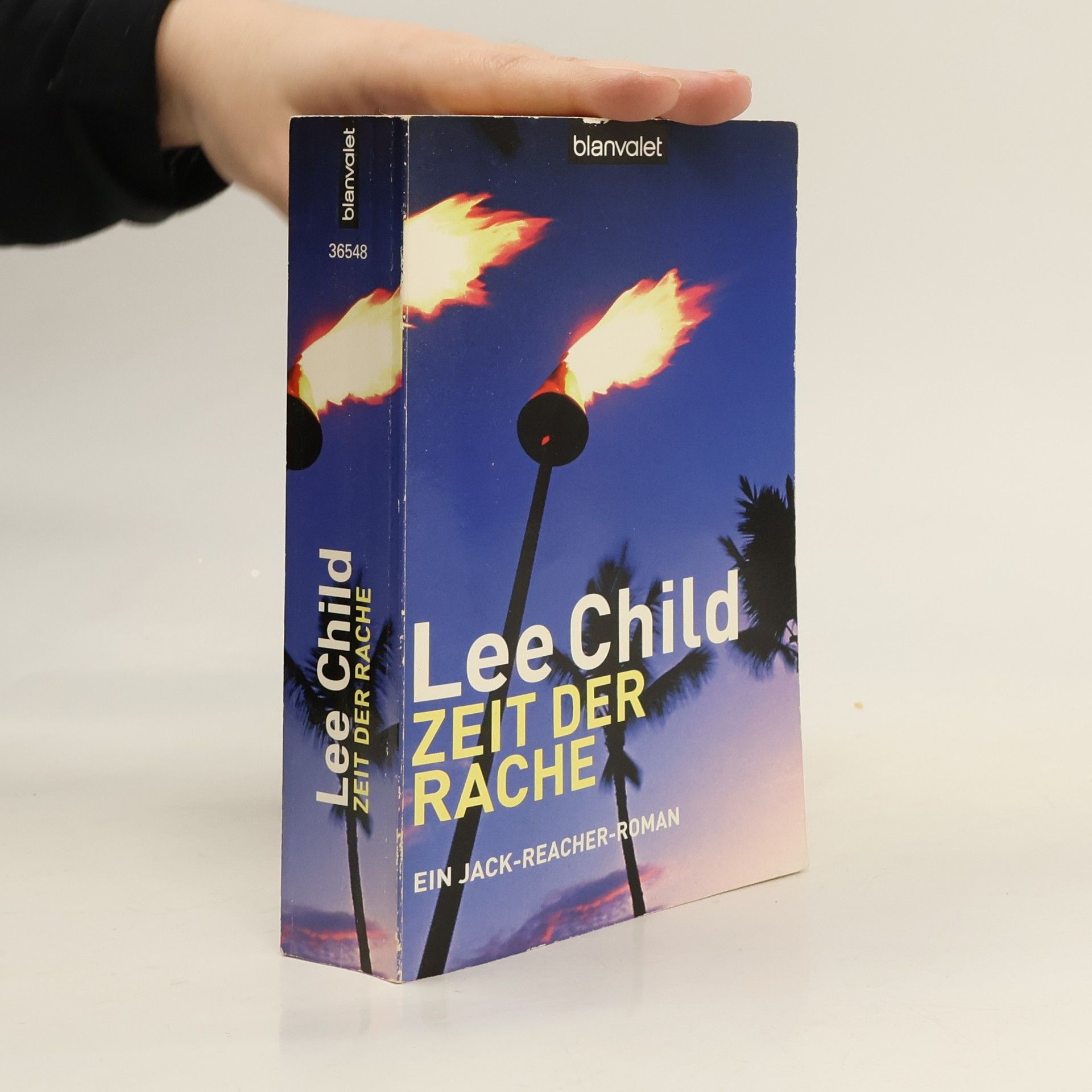 Lee Child Zeit der Rache