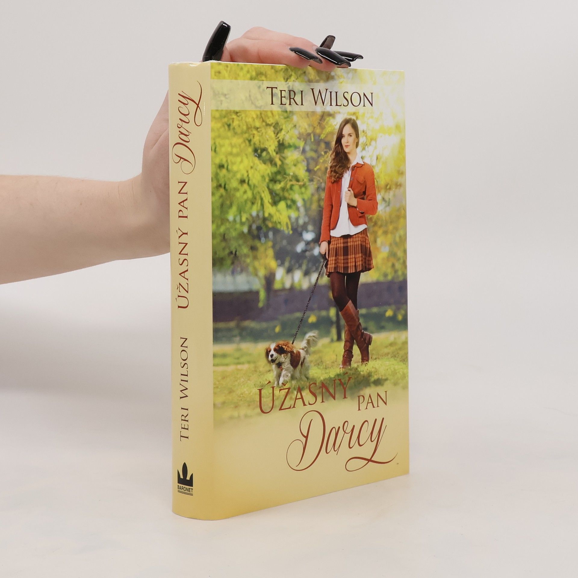 Teri Wilson Úžasný pan Darcy