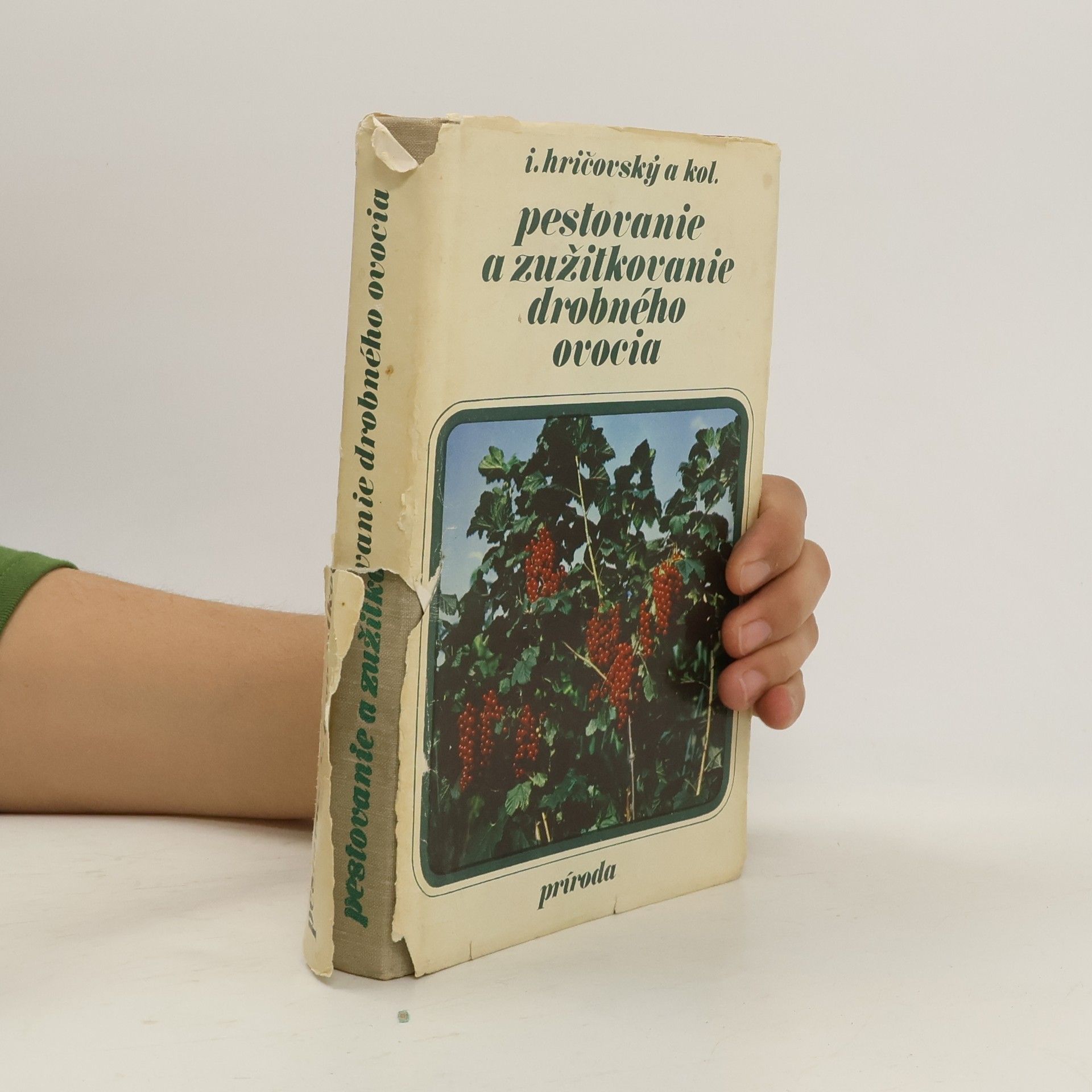 Ivan Hričovský Pestovanie a zužitkovanie drobného ovocia