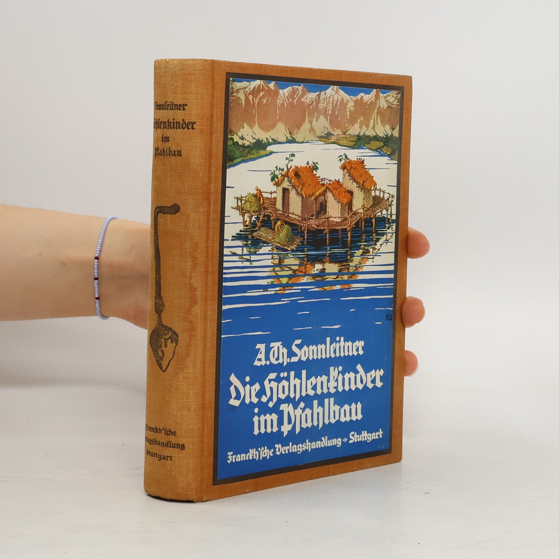 Die Höhlenkinder im Pfahlbau