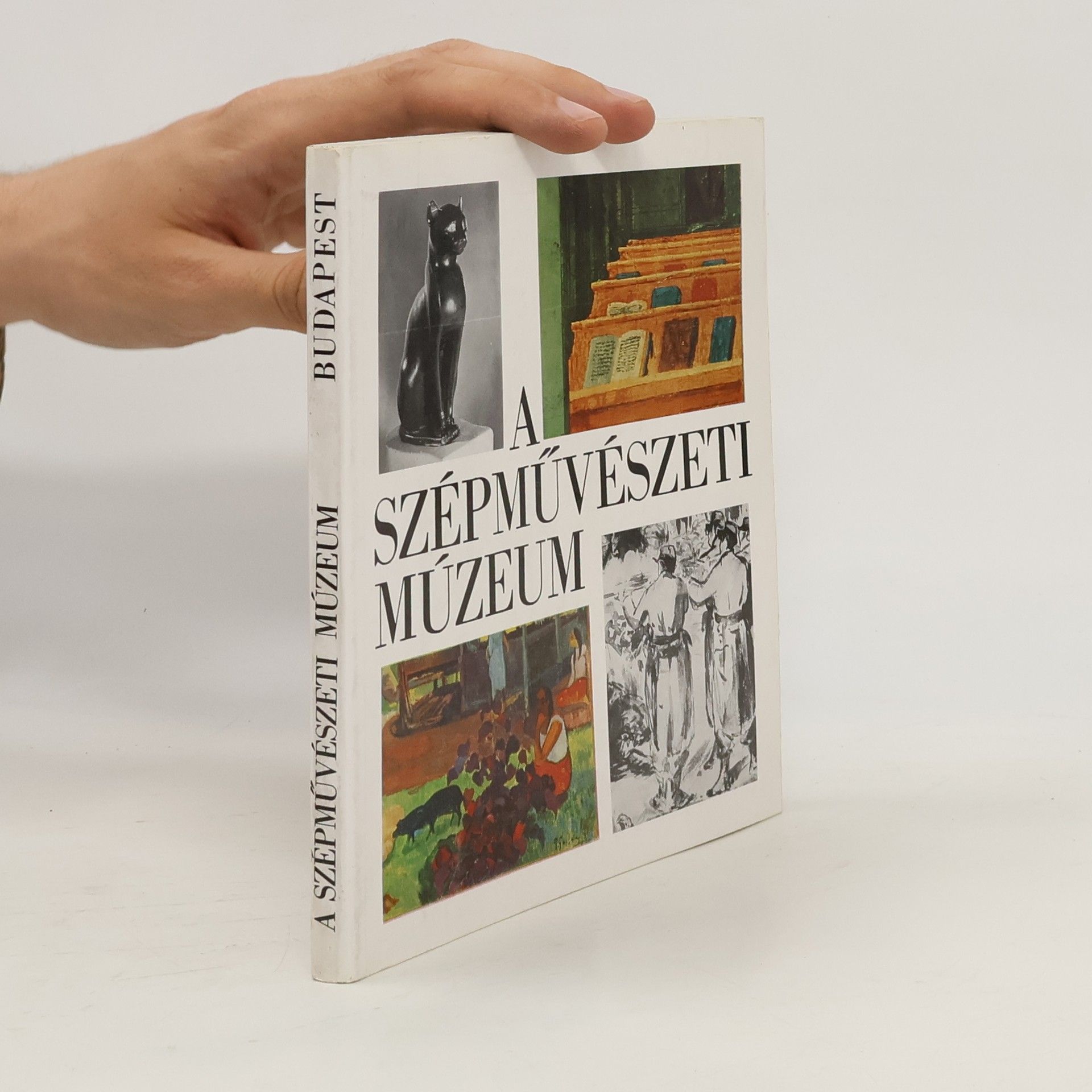 Autorenkollektiv A Szépművészeti Múzeum