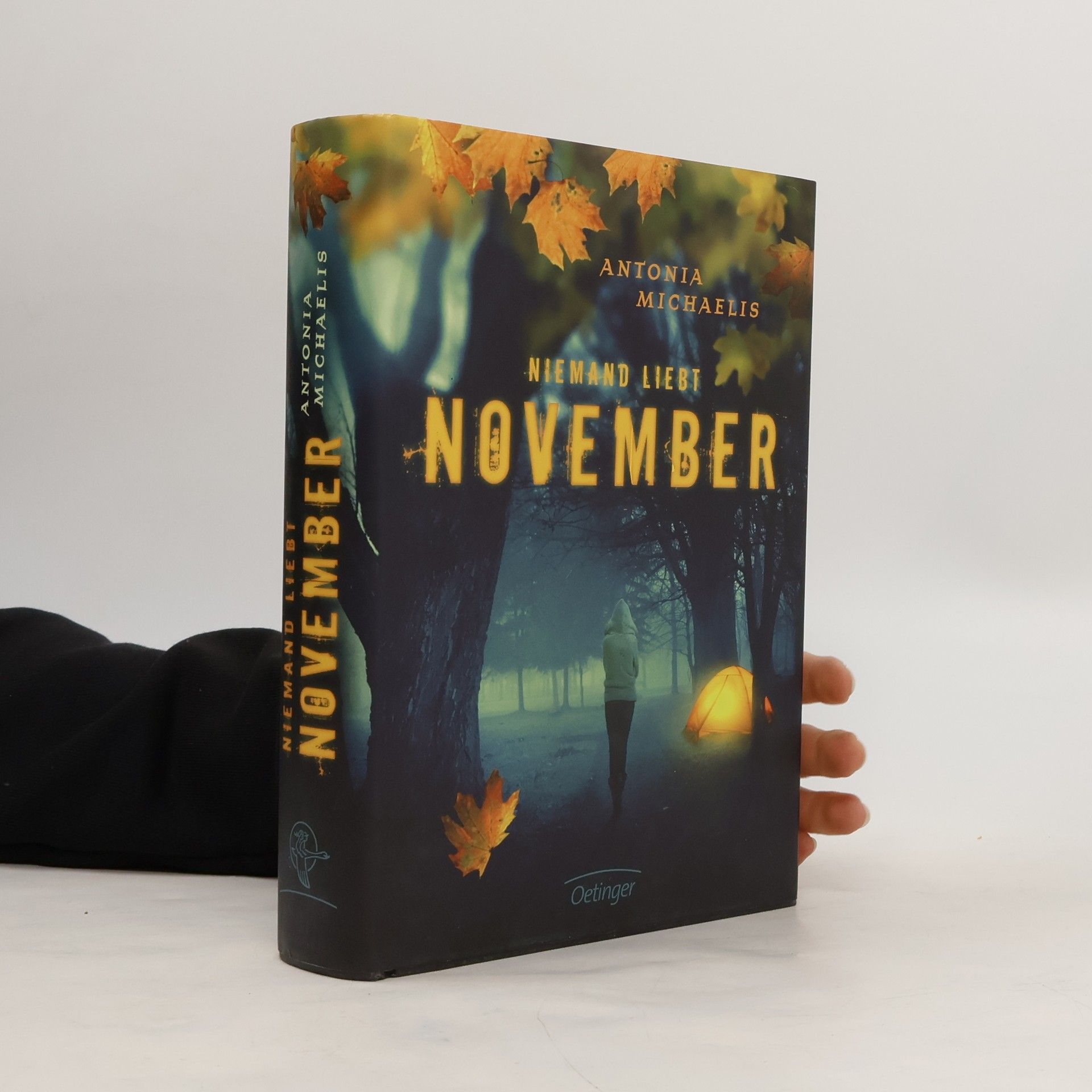 Antonia Michaelis Niemand liebt November