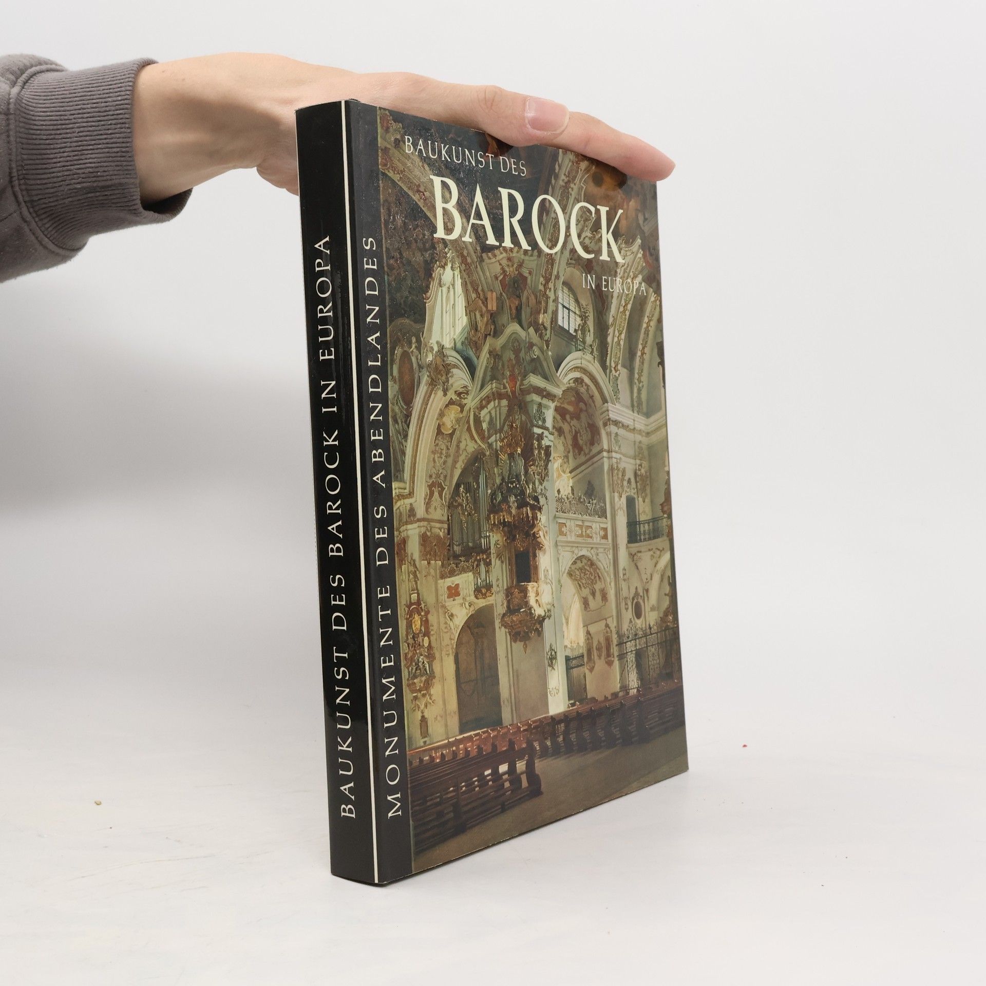 Kolektiv autorů Baukunst Des Barock in Europa