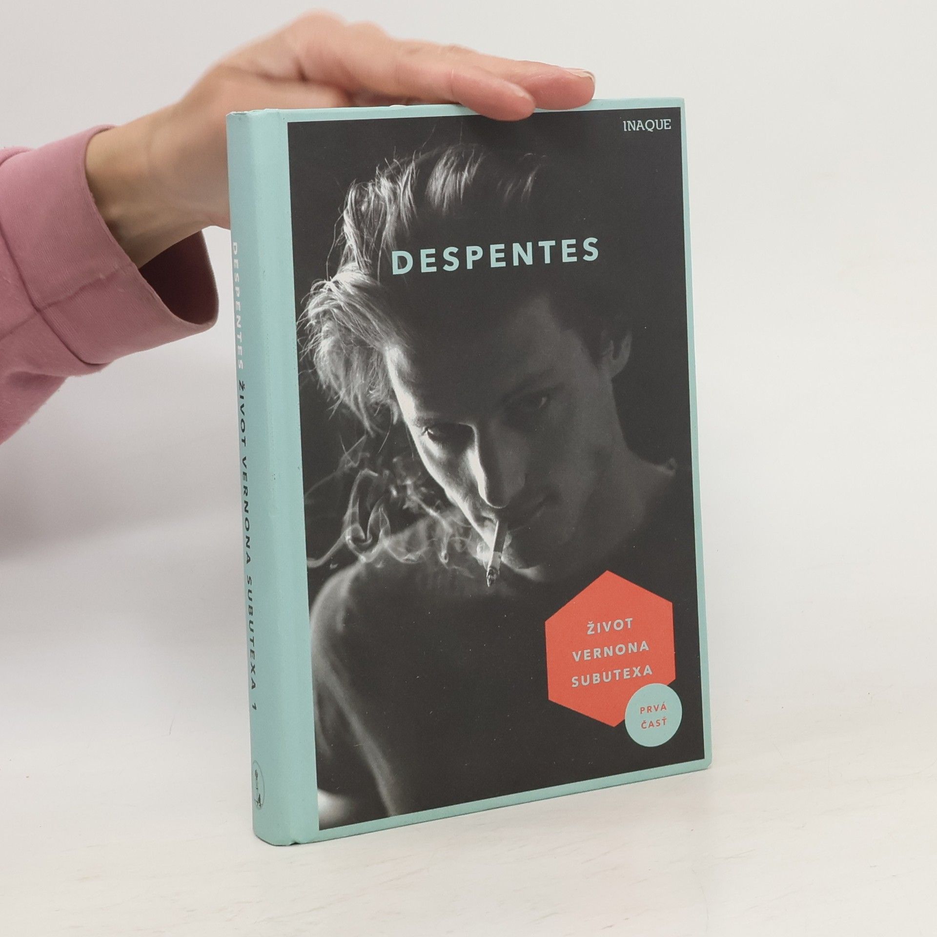 Virginie Despentes Život Vernona Subutexa 1