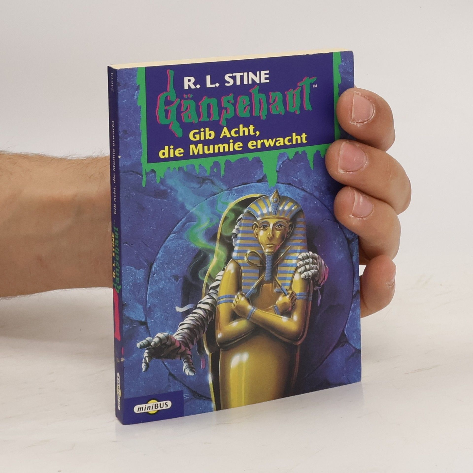 R. L. Stine Gib Acht, die Mumie erwacht