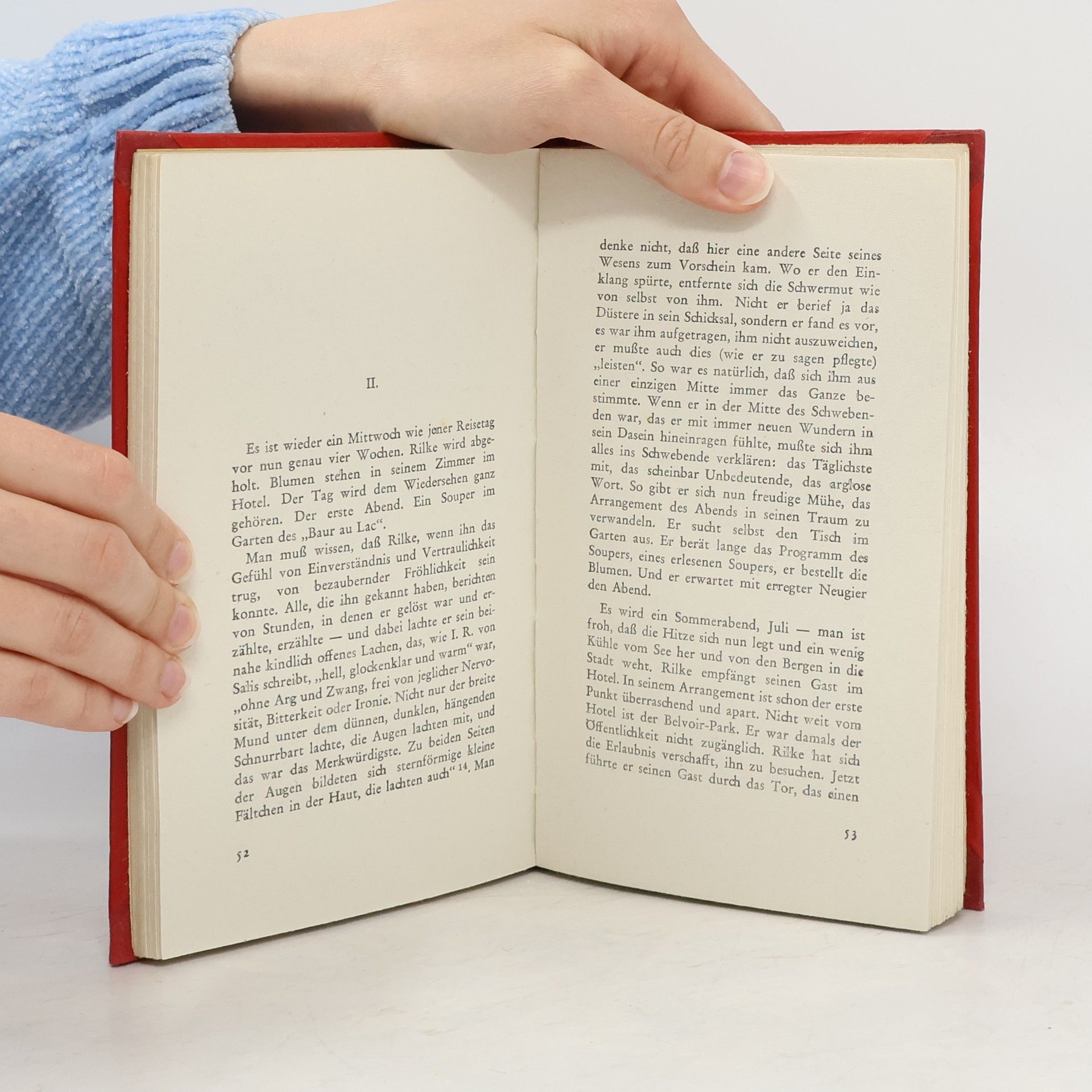 Rainer Maria Rilke Briefe an eine Reisegefährtin