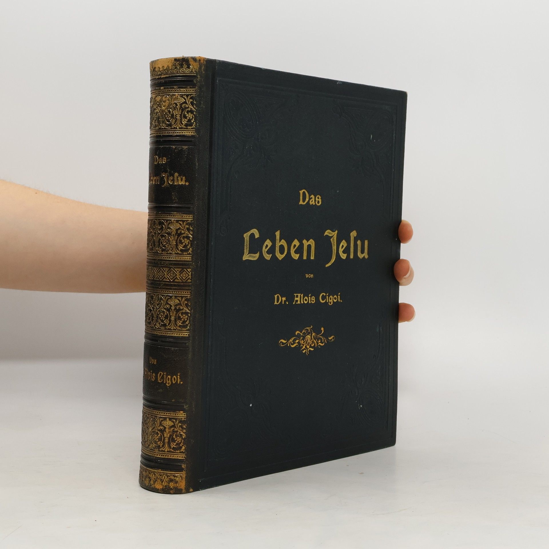 Alois Cigoi Das Leben Jesu I