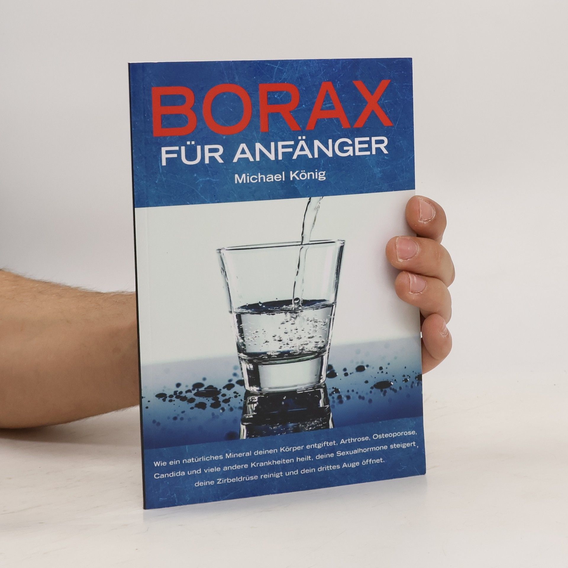 Michael König Borax Für Anfänger